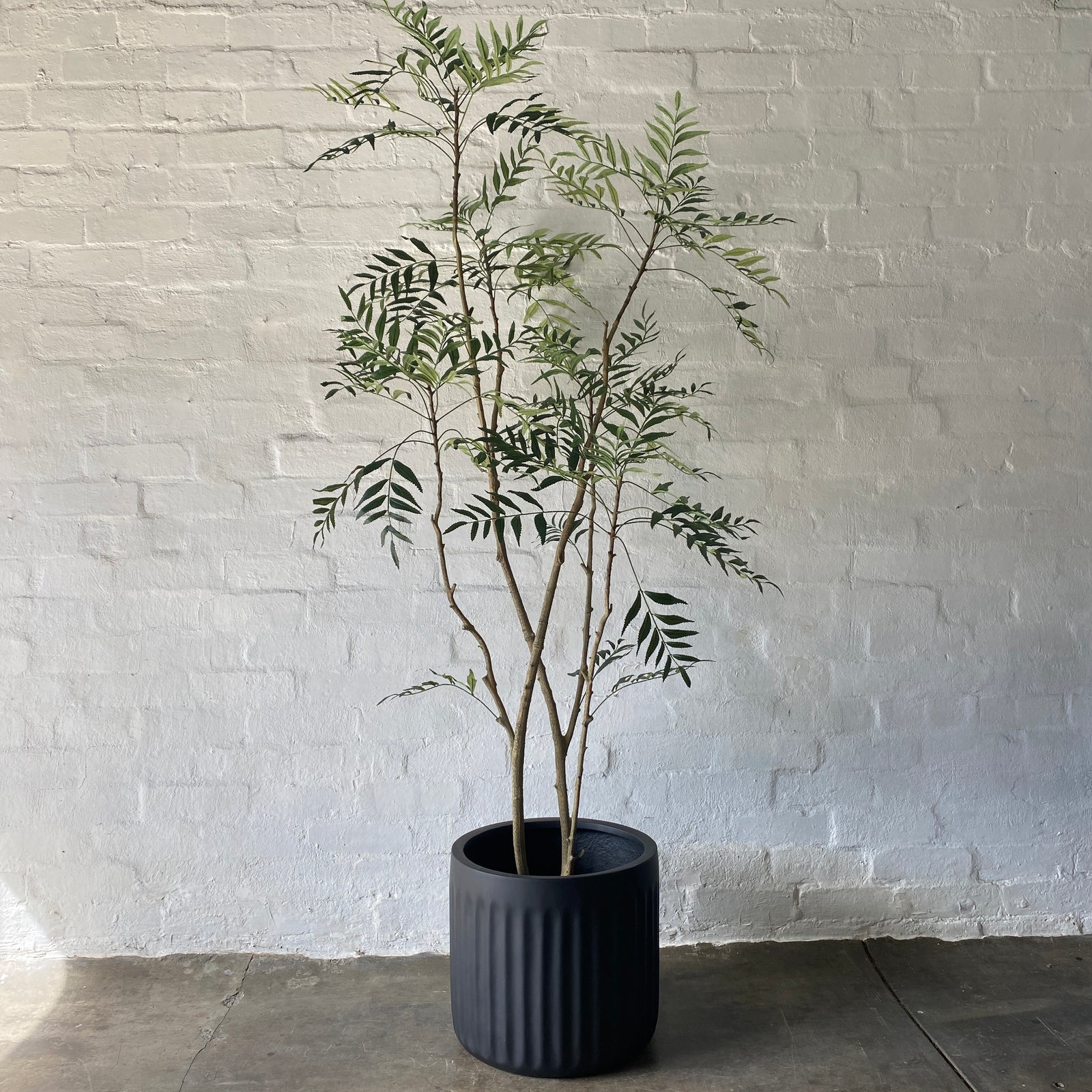 Artificial Madagascar Tree