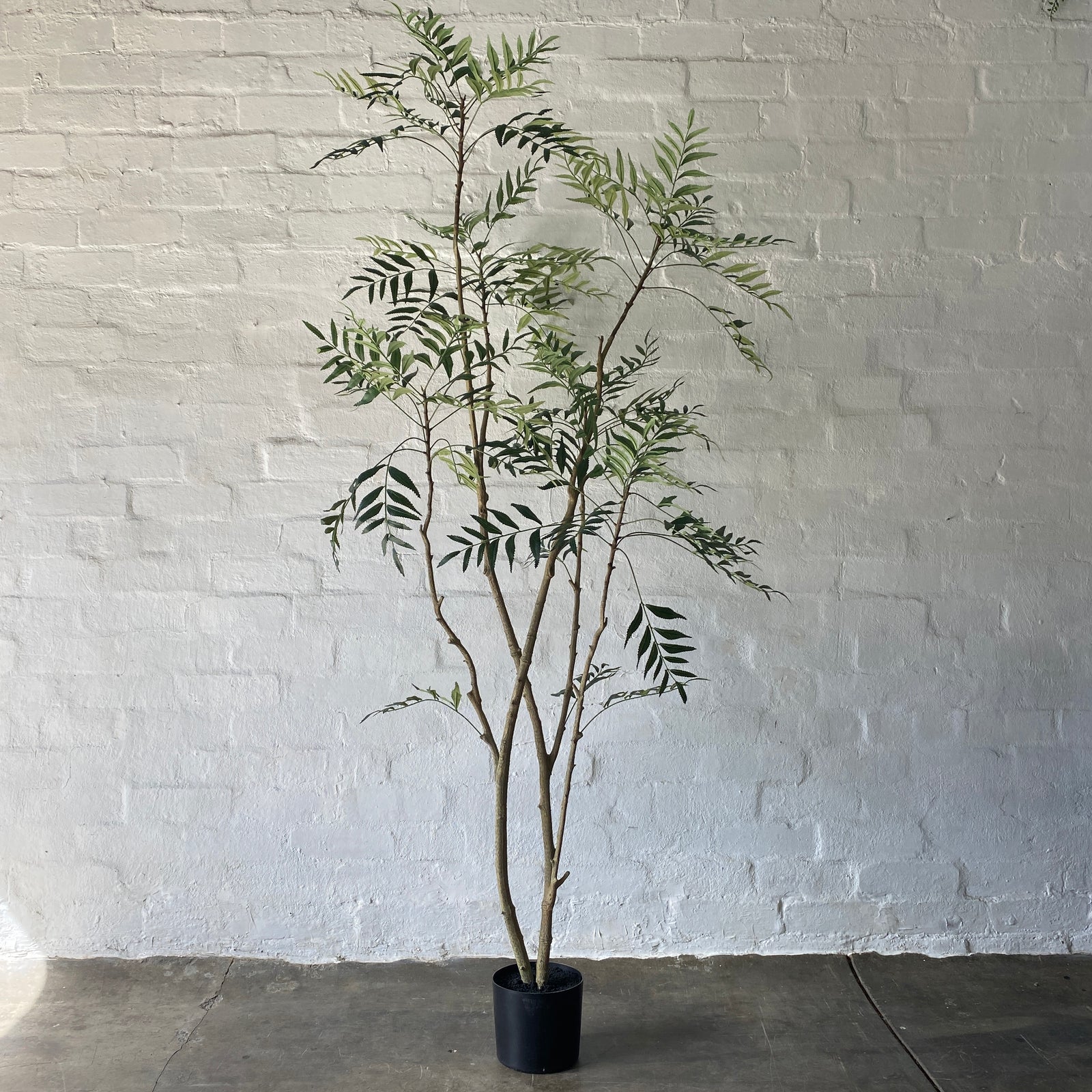 Artificial Madagascar Tree