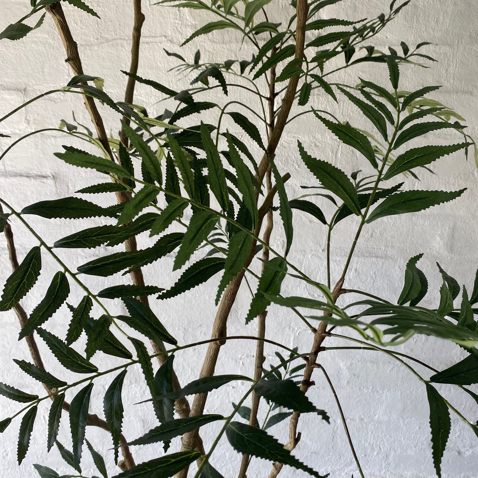 Artificial Madagascar Tree