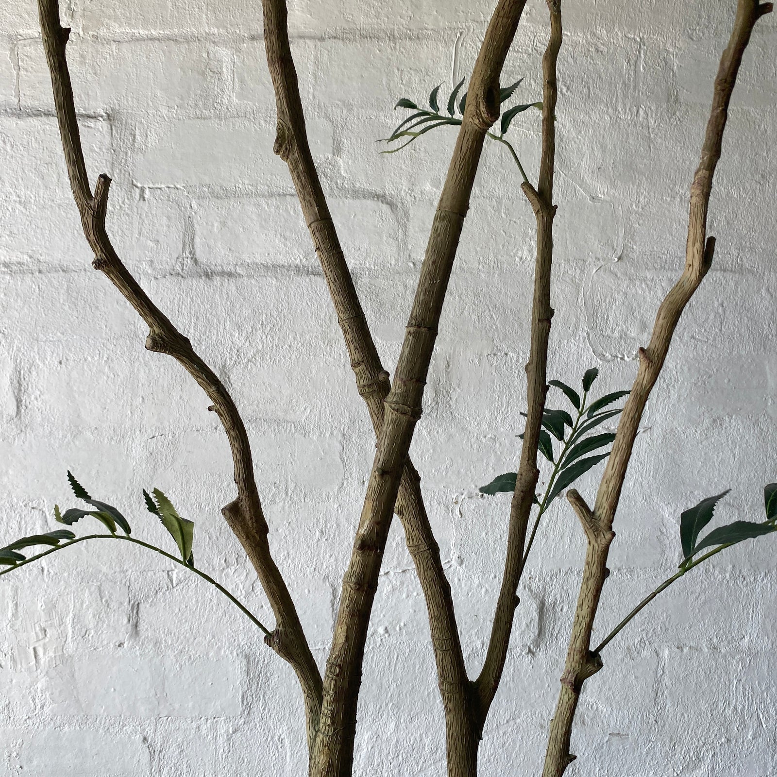 Artificial Madagascar Tree