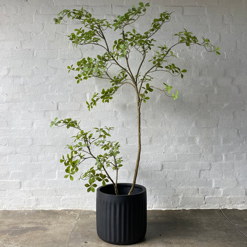 Artificial Fine Jasmine Tree