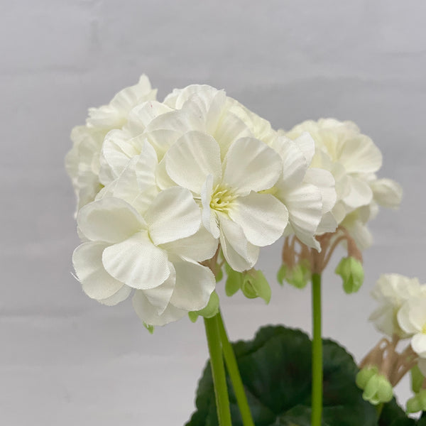 Artificial White Geraniums