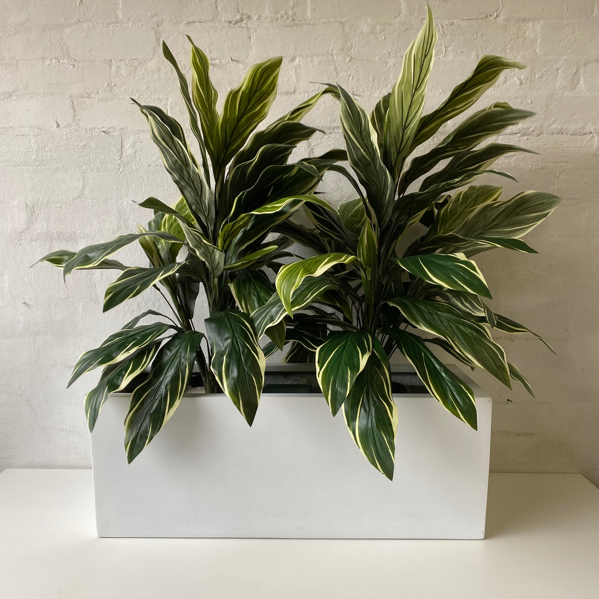 Artificial Trough Plants  | Cordylines