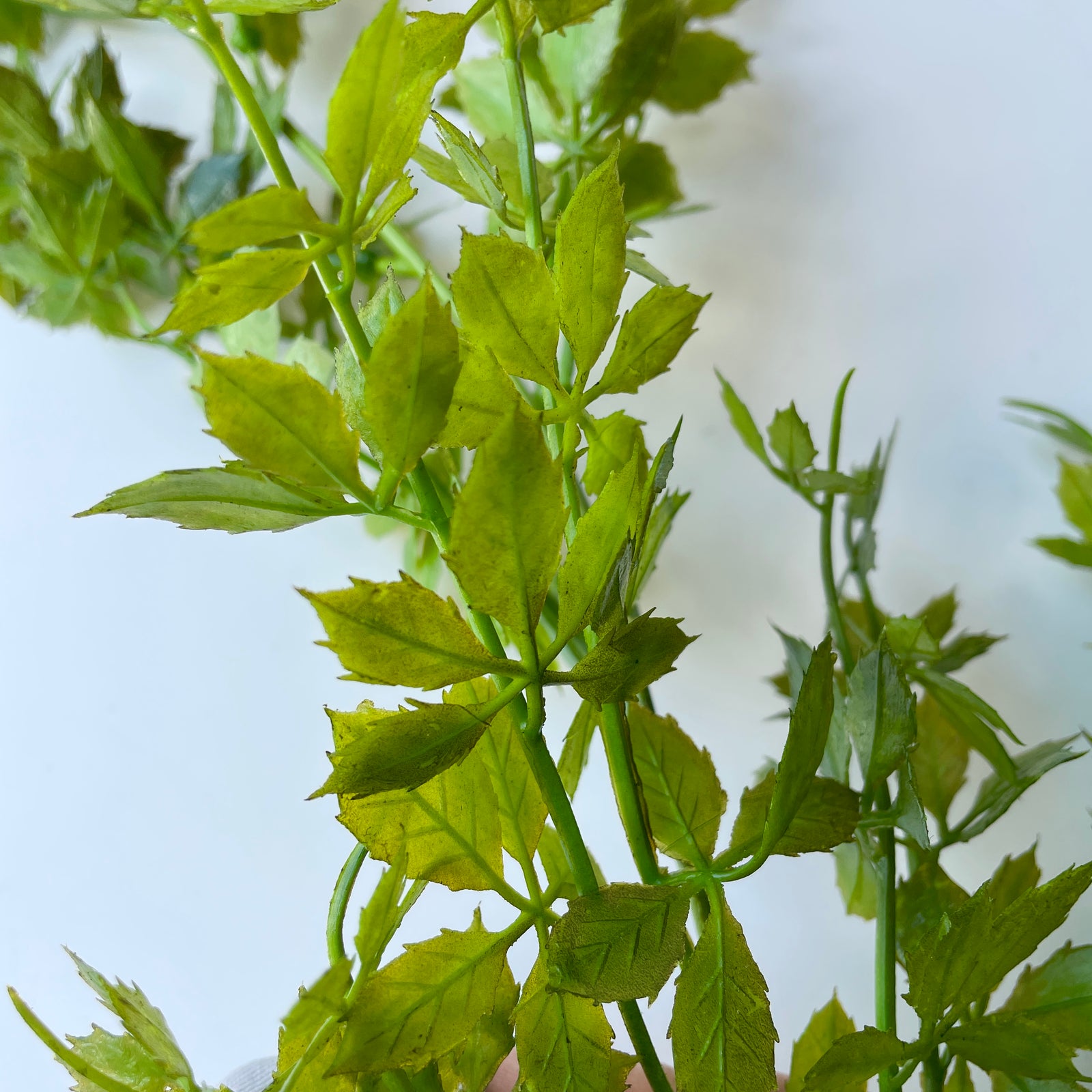 Artificial Evergreen Bush