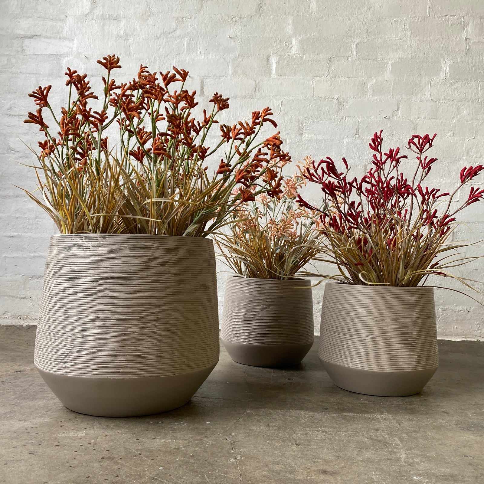 Artificial Kangaroo Paw