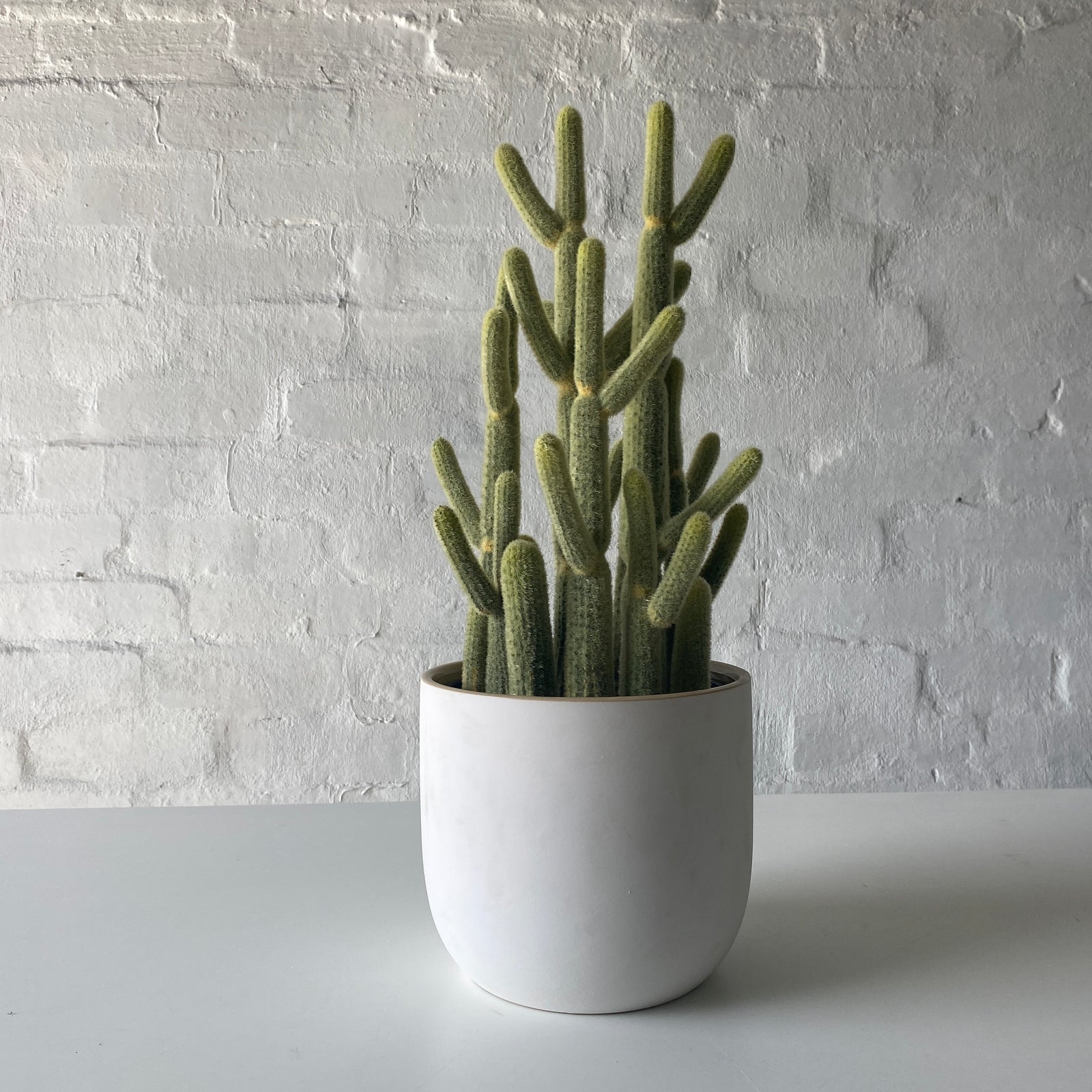 Artificial Golden Cactus