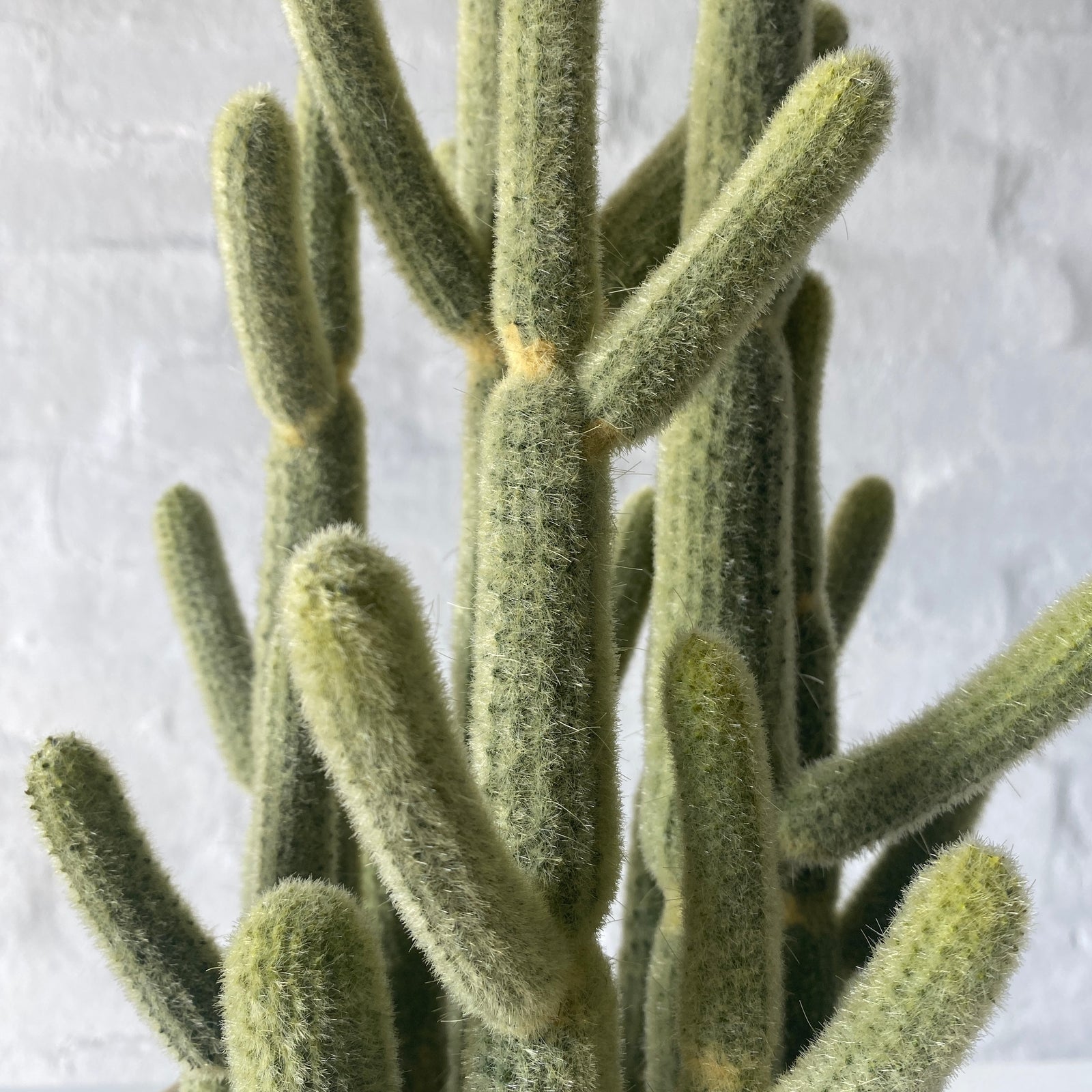 Artificial Golden Cactus