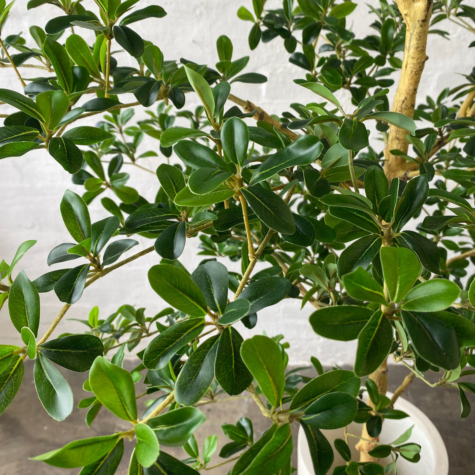 Artificial Carob Tree