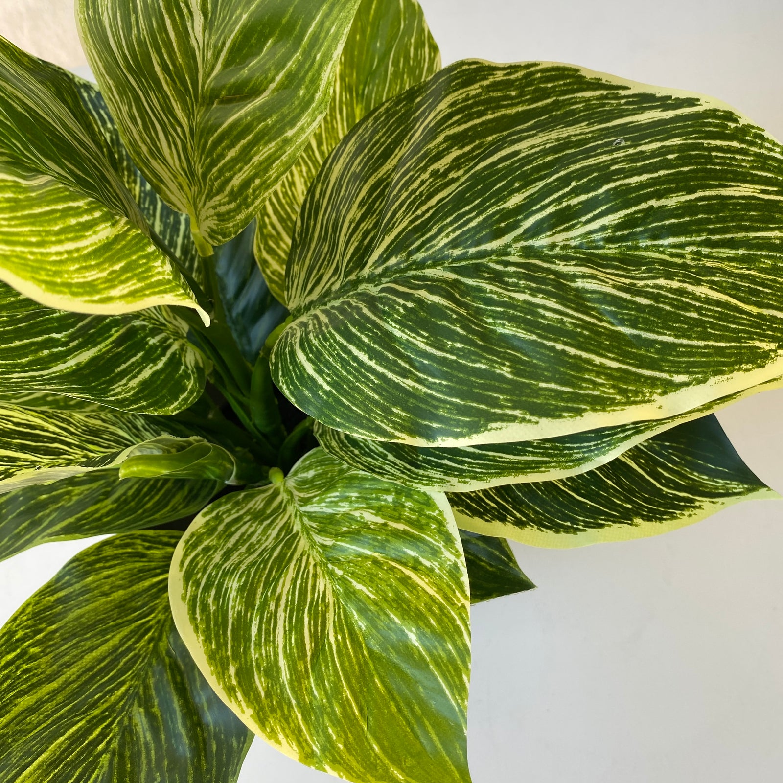 Artificial Leopard Plant