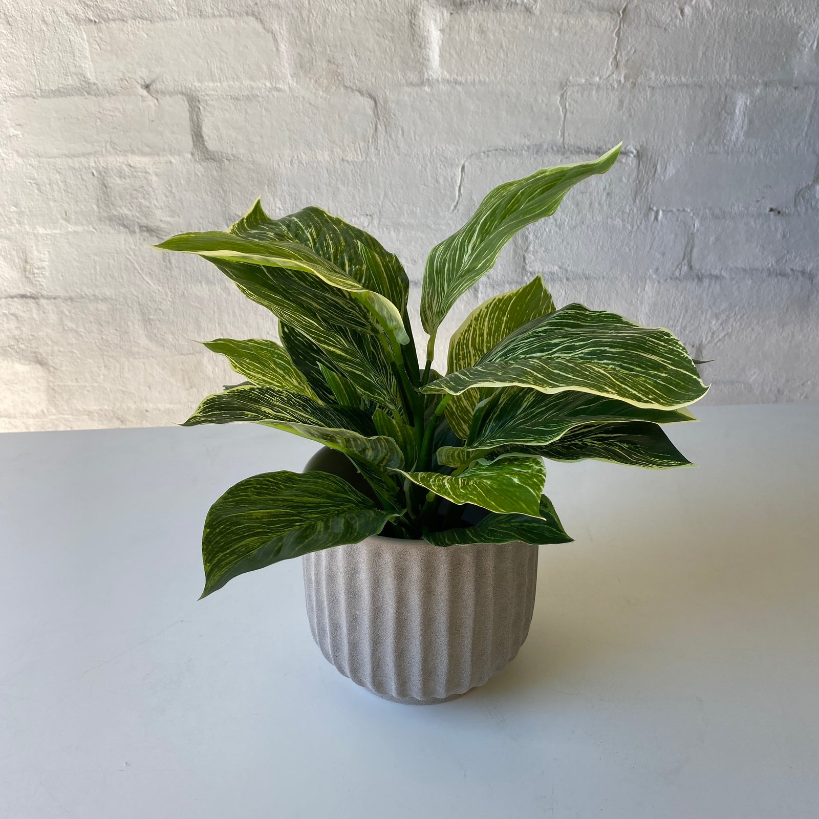 Artificial Leopard Plant