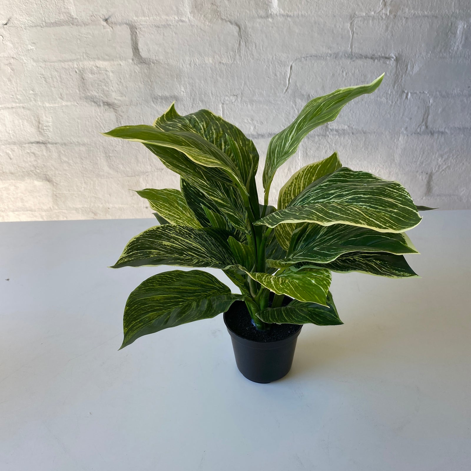 Artificial Leopard Plant