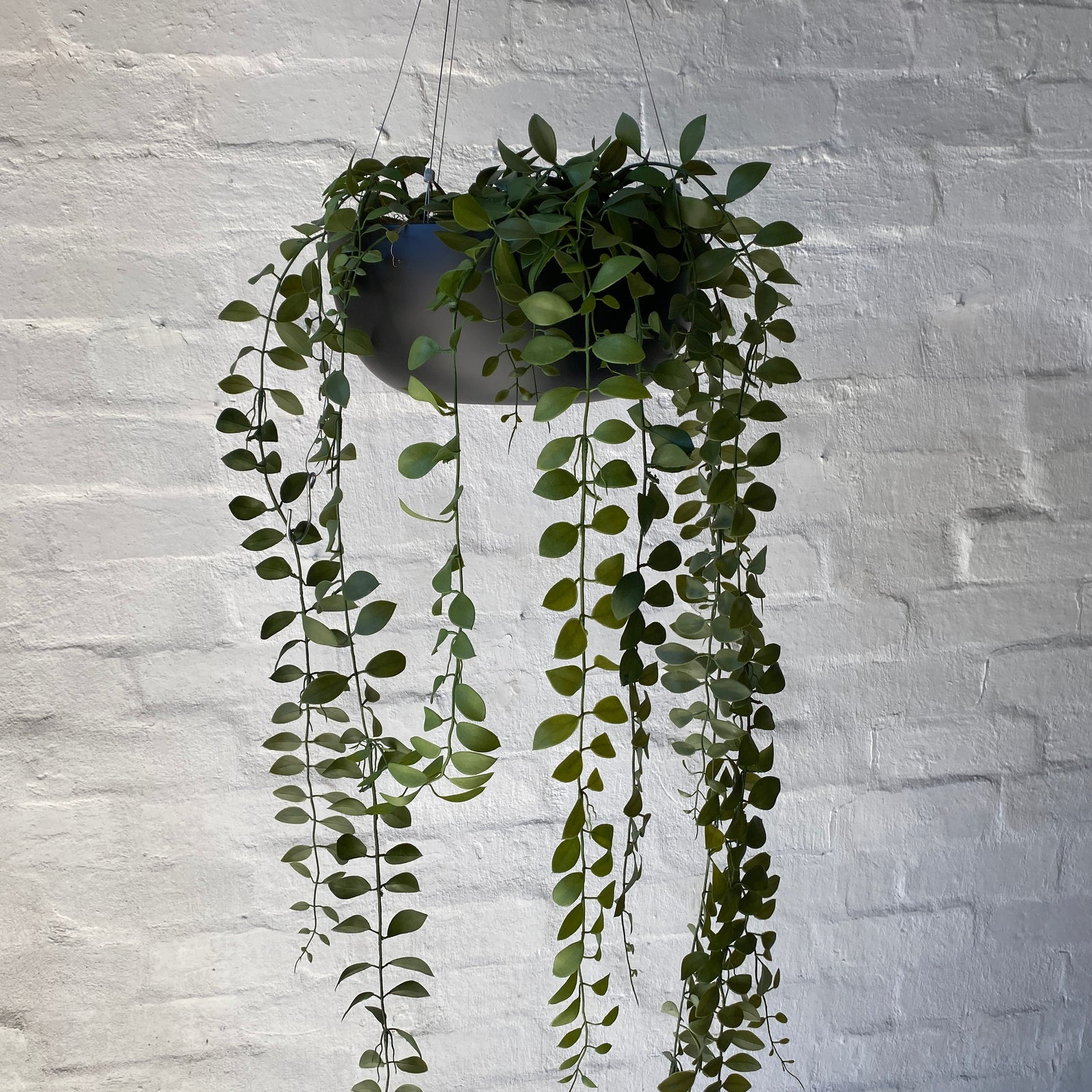Artificial Fern Button Hanging