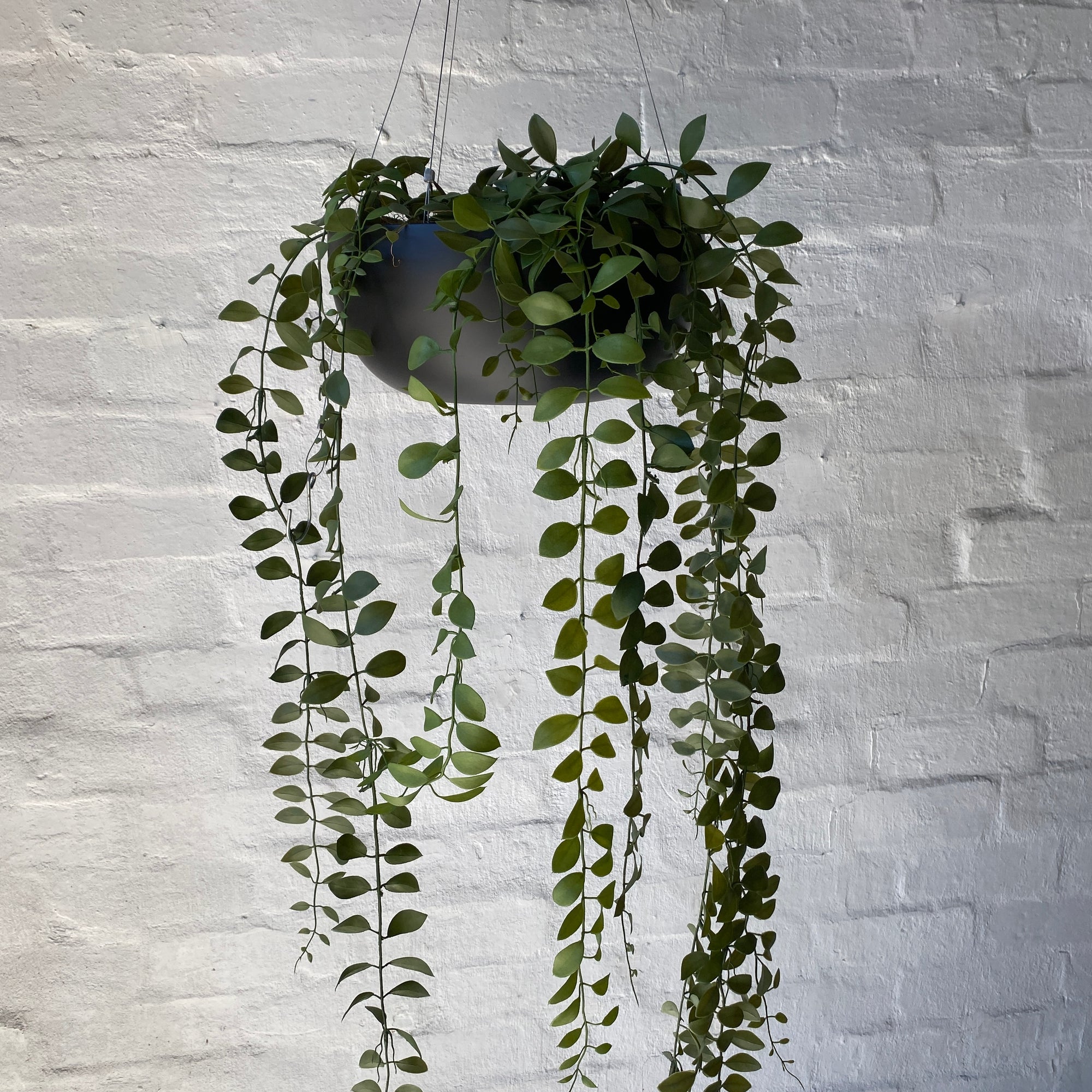 Artificial Fern Button Hanging