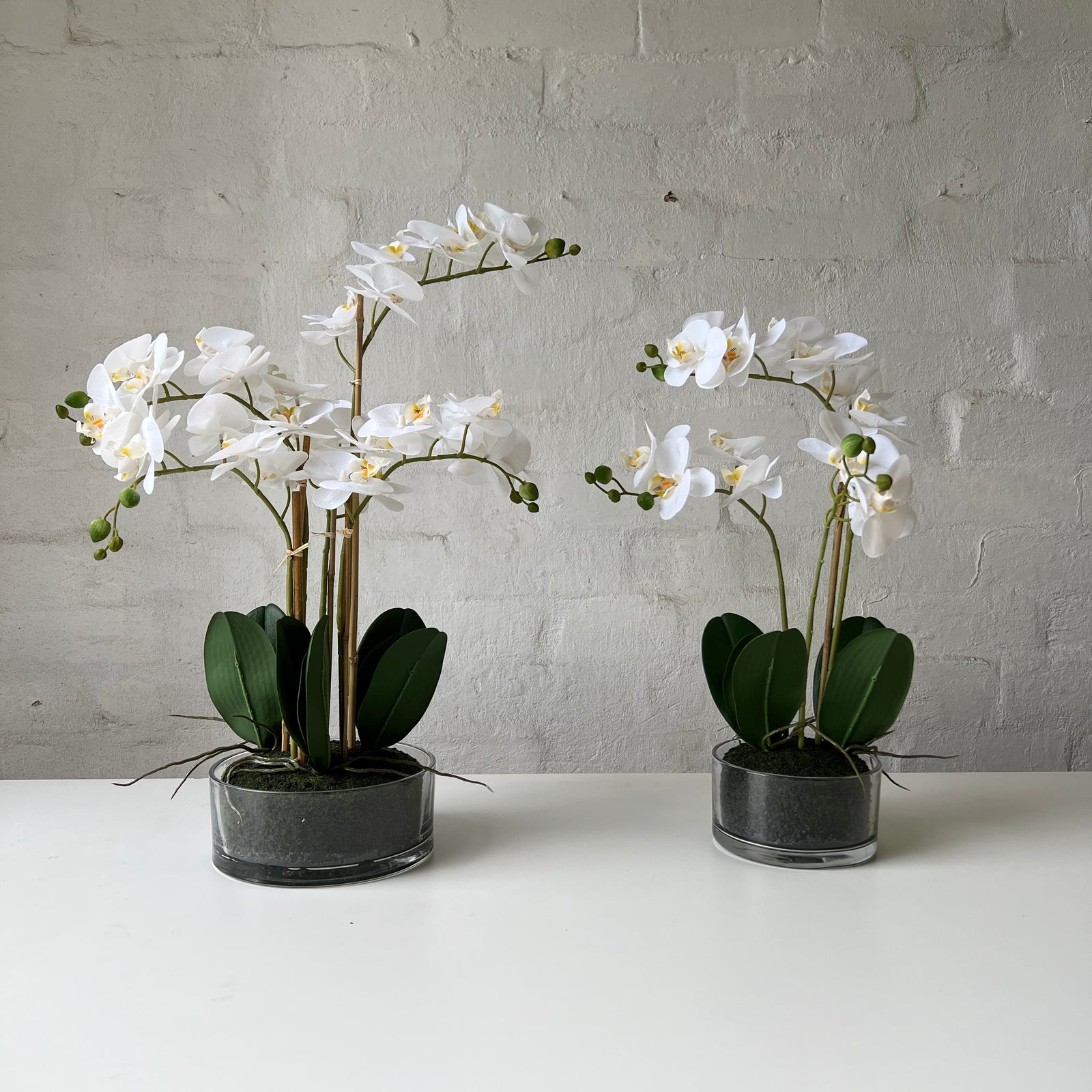 Artificial Orchid | Glass Bowl