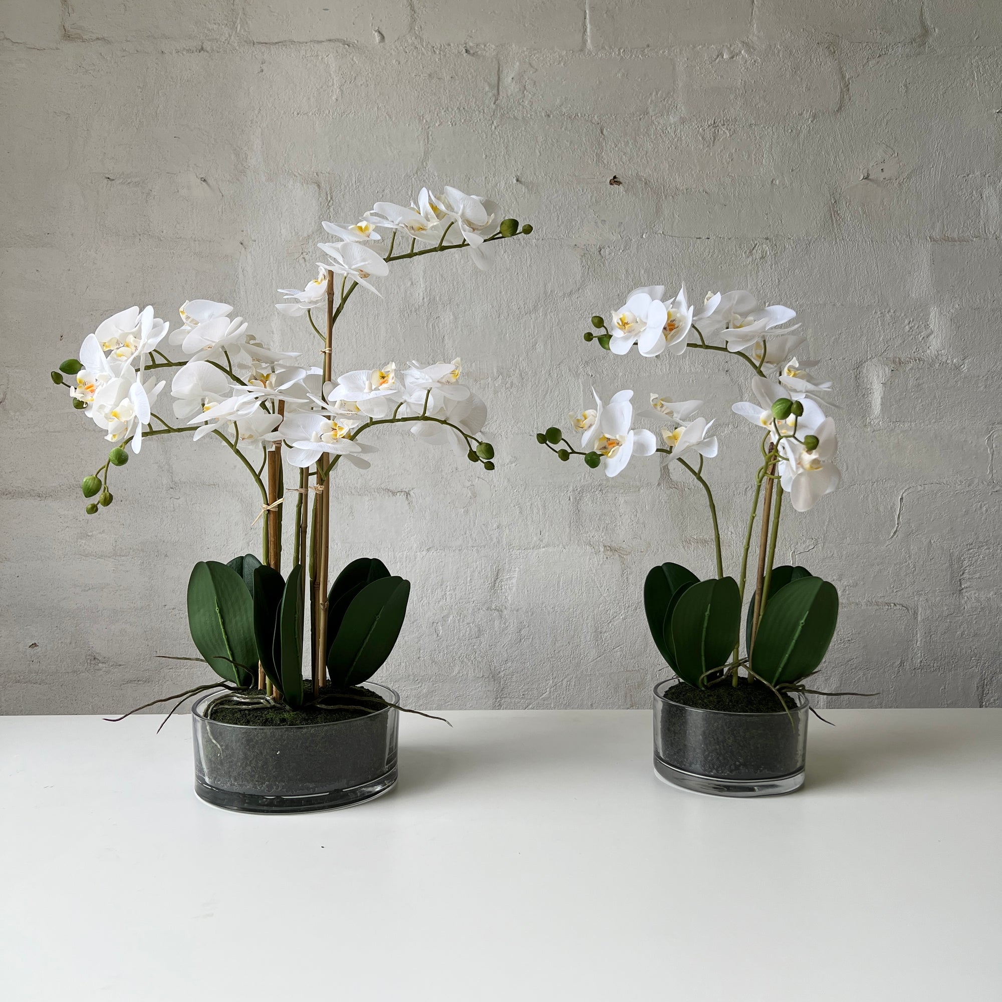 Artificial Orchid | Glass Bowl