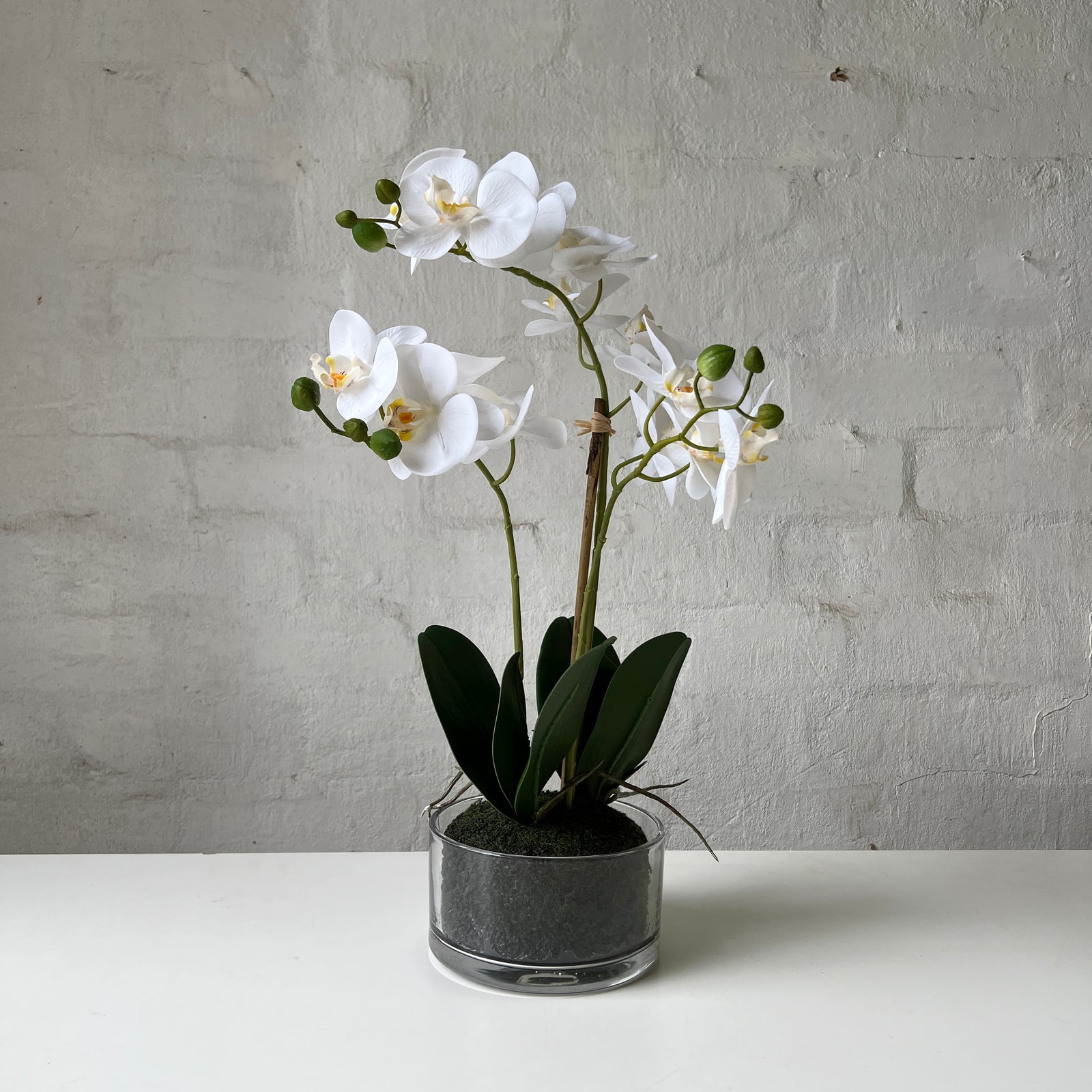 Artificial Orchid | Glass Bowl