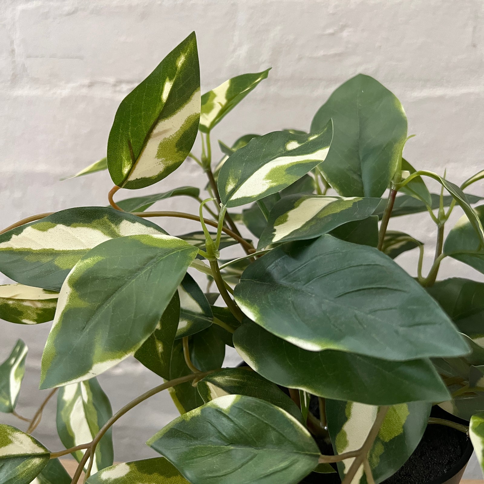 Artificial Hoya Plant