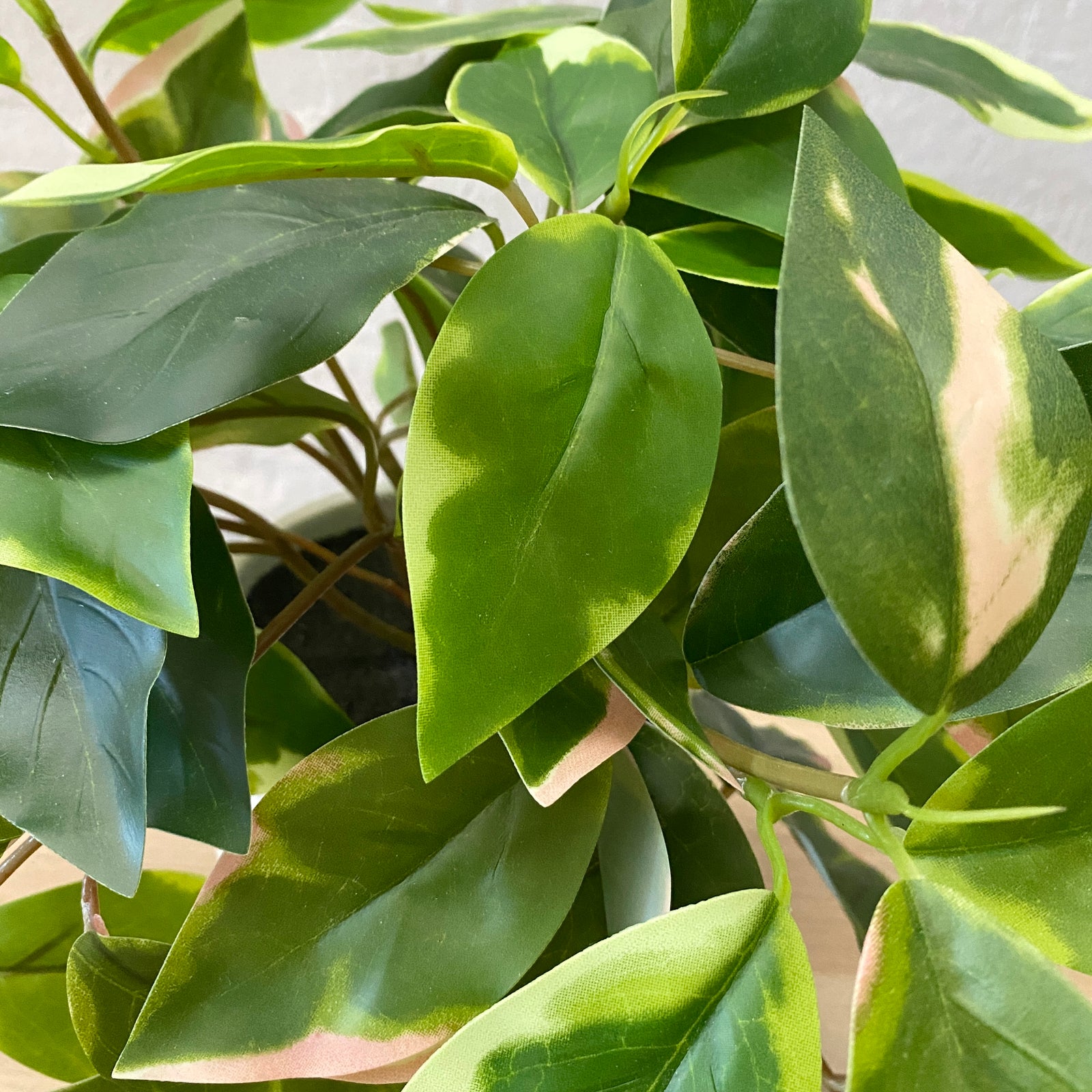 Artificial Pothos in Pot