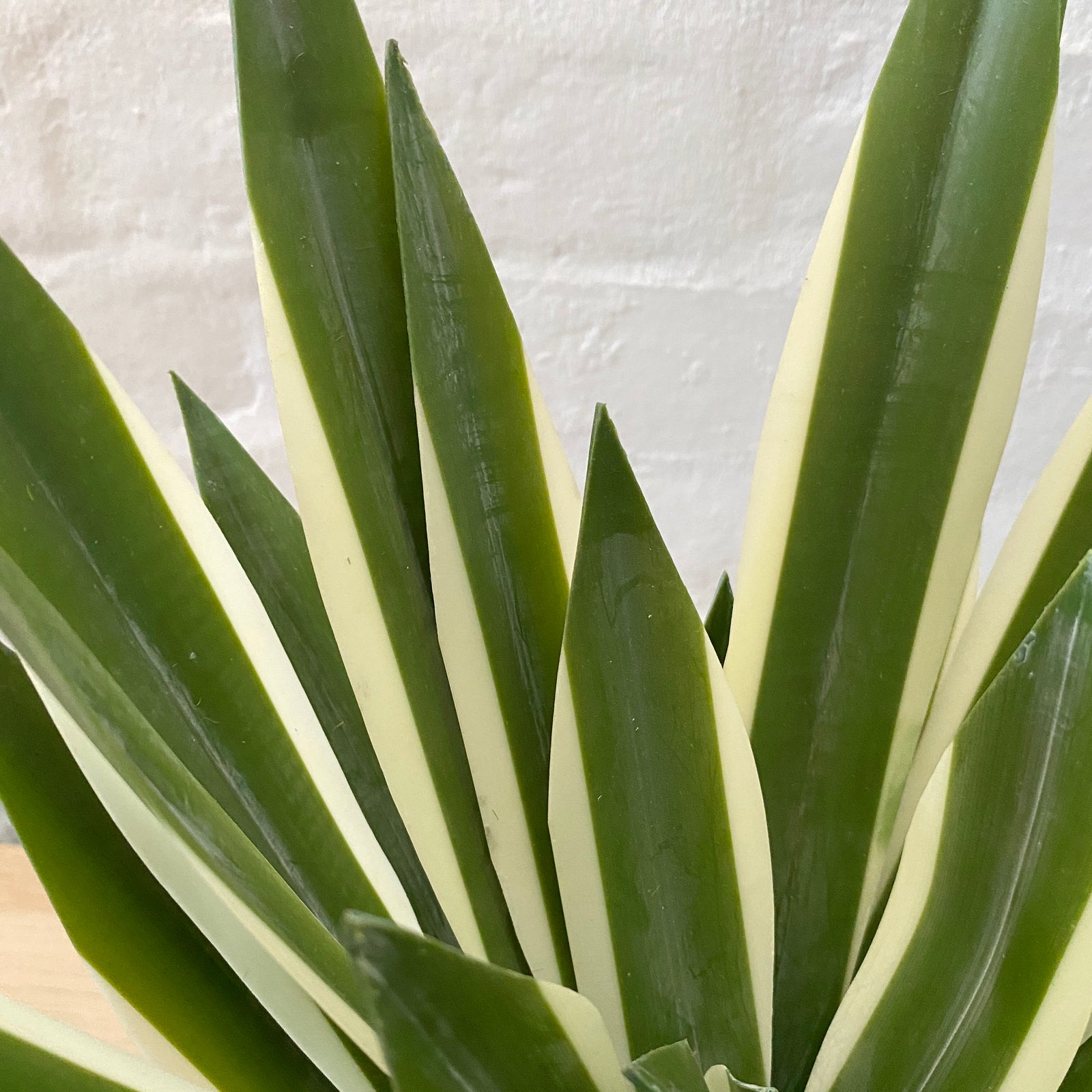 Artificial Yucca Plant