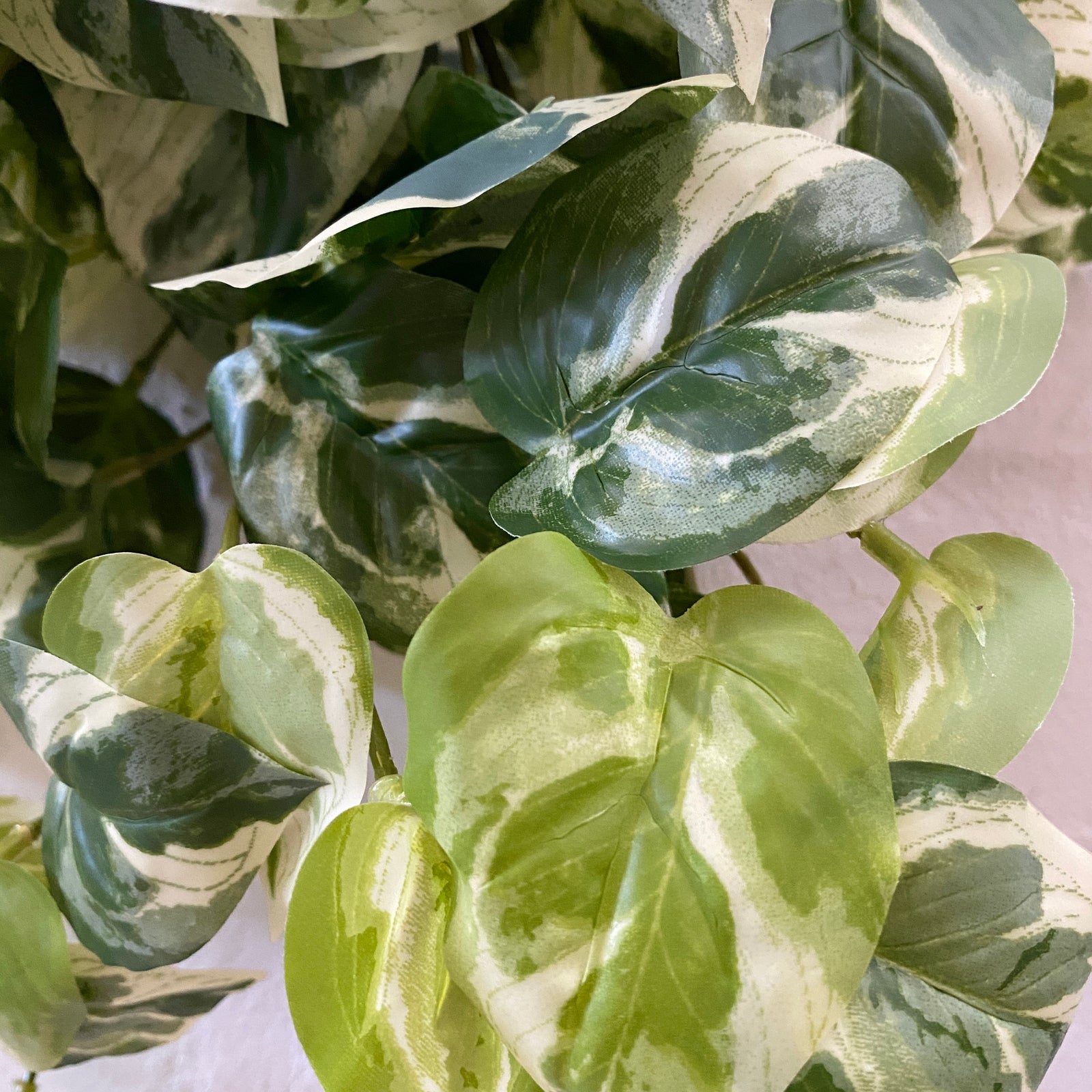 Artificial Variegated Pothos