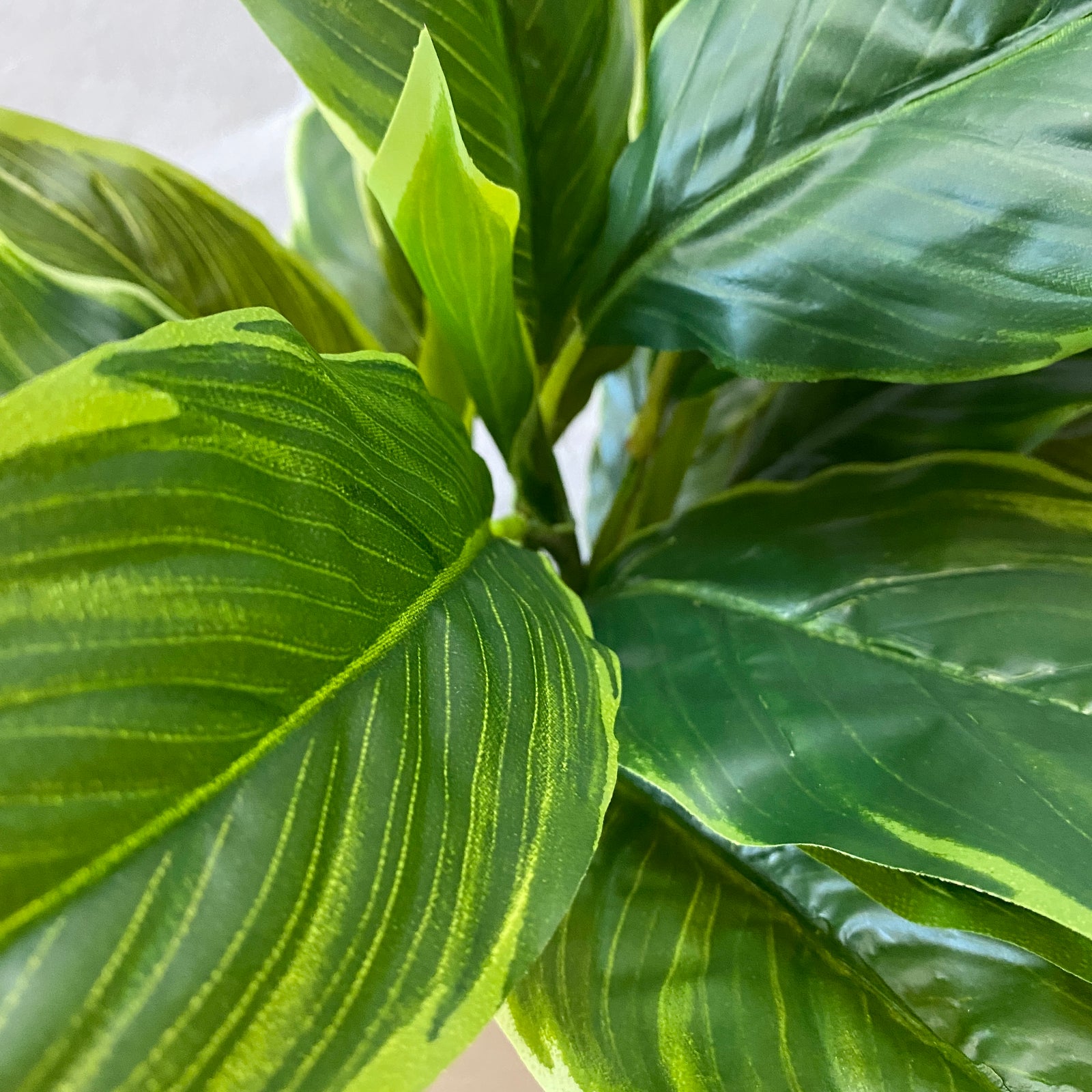 Artificial Hosta in Pot