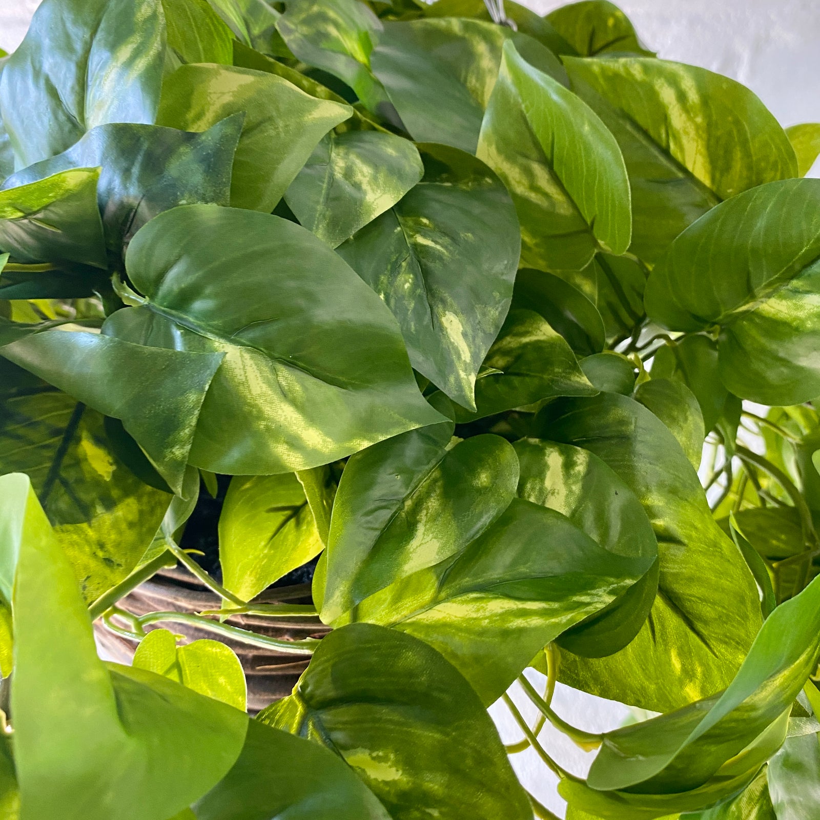 Artificial Pothos Hanging Basket