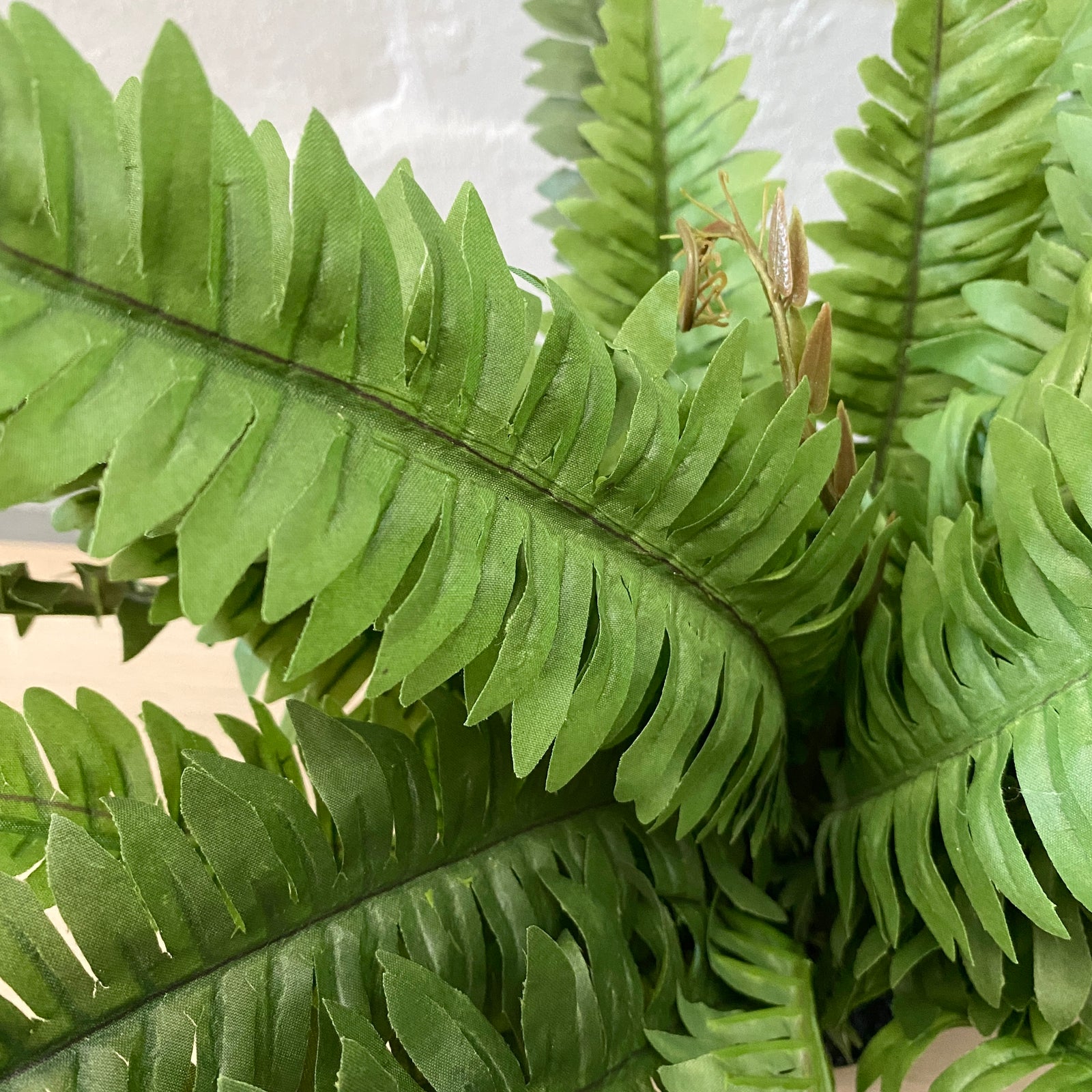 Artificial Boston Fern in Pot