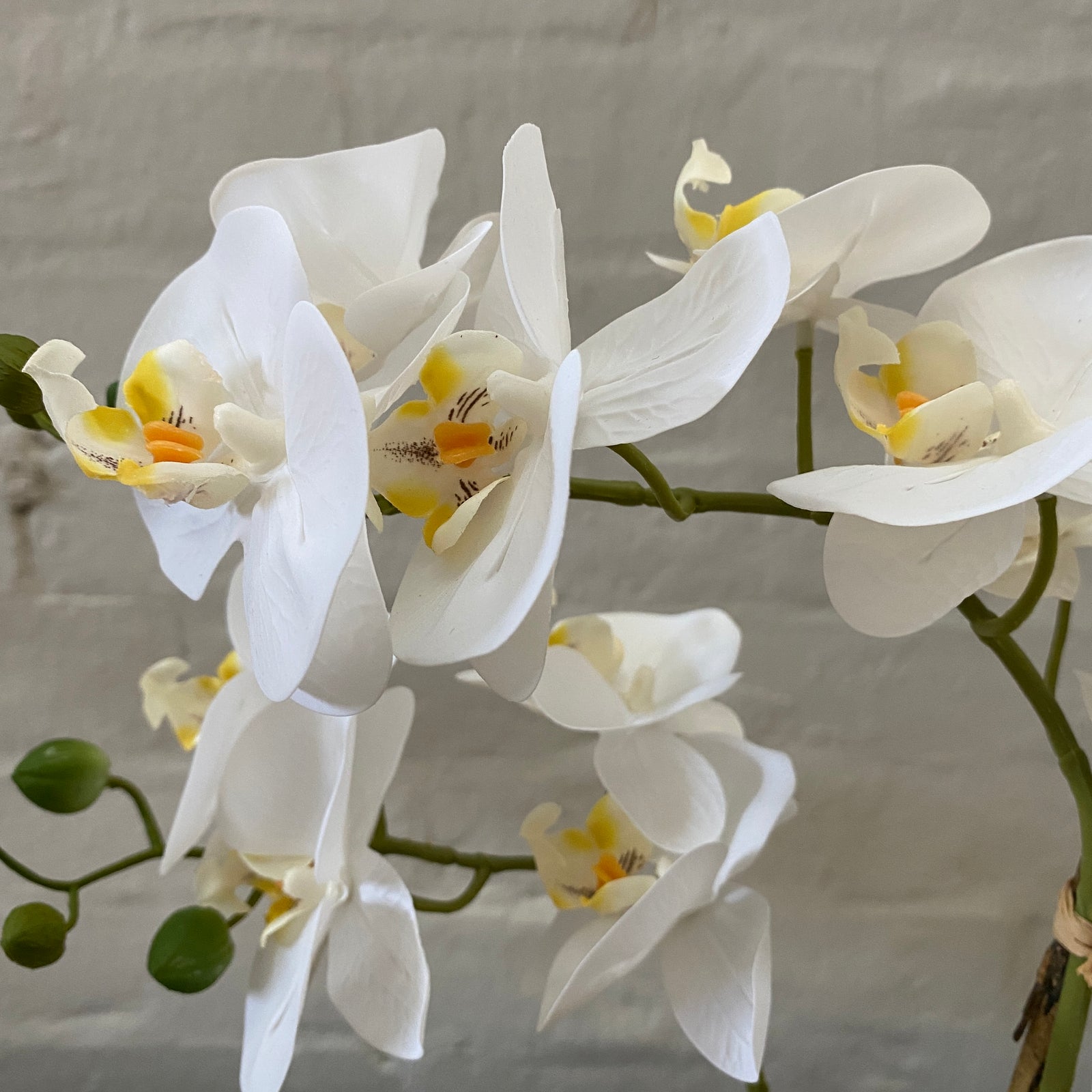 Artificial Orchid | Glass Bowl