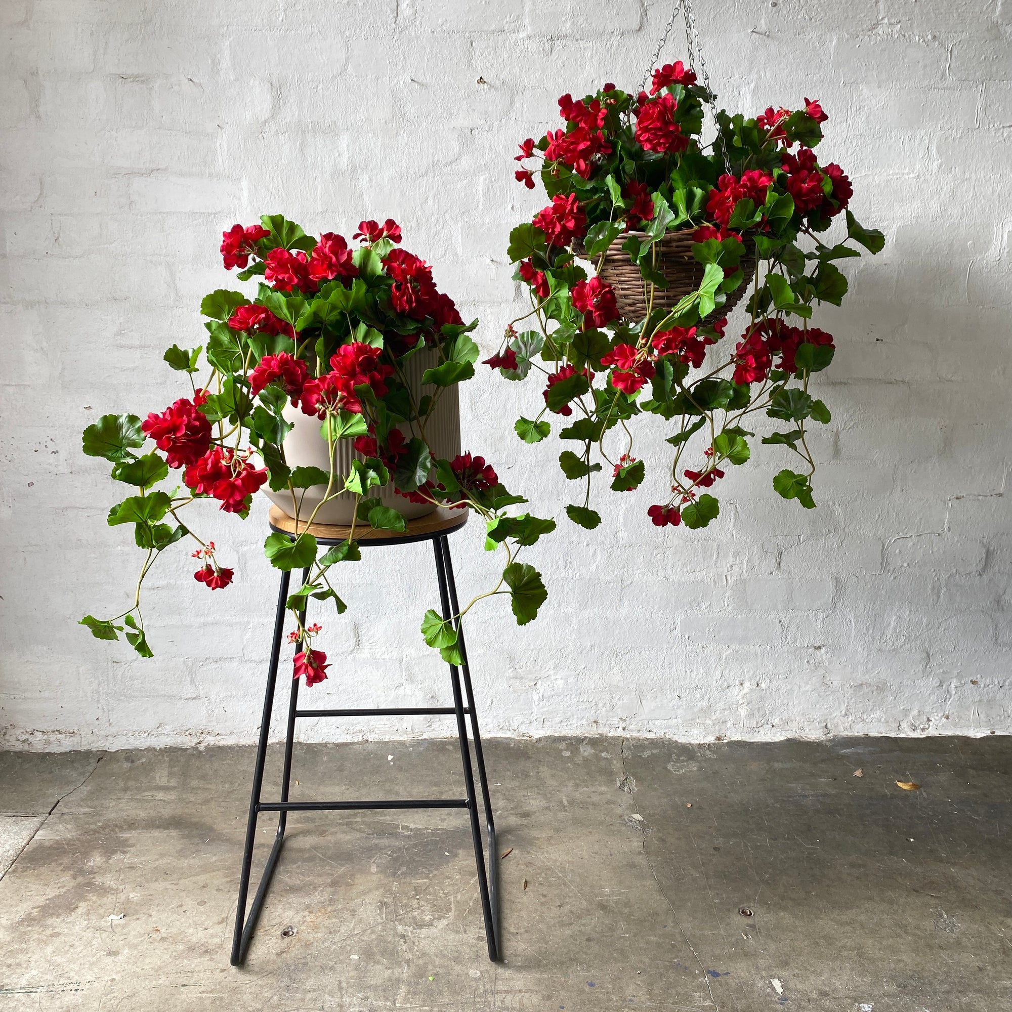 Artificial Hanging Red Geranium Bush | Outdoor