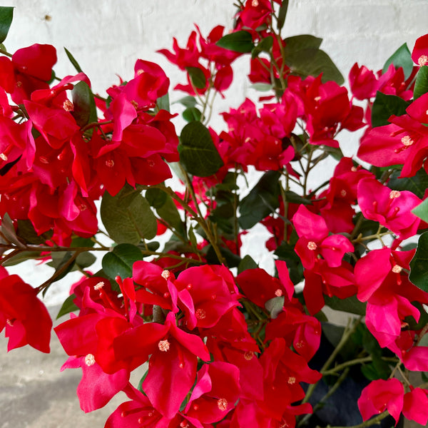 Artificial Bougainvillea Bush