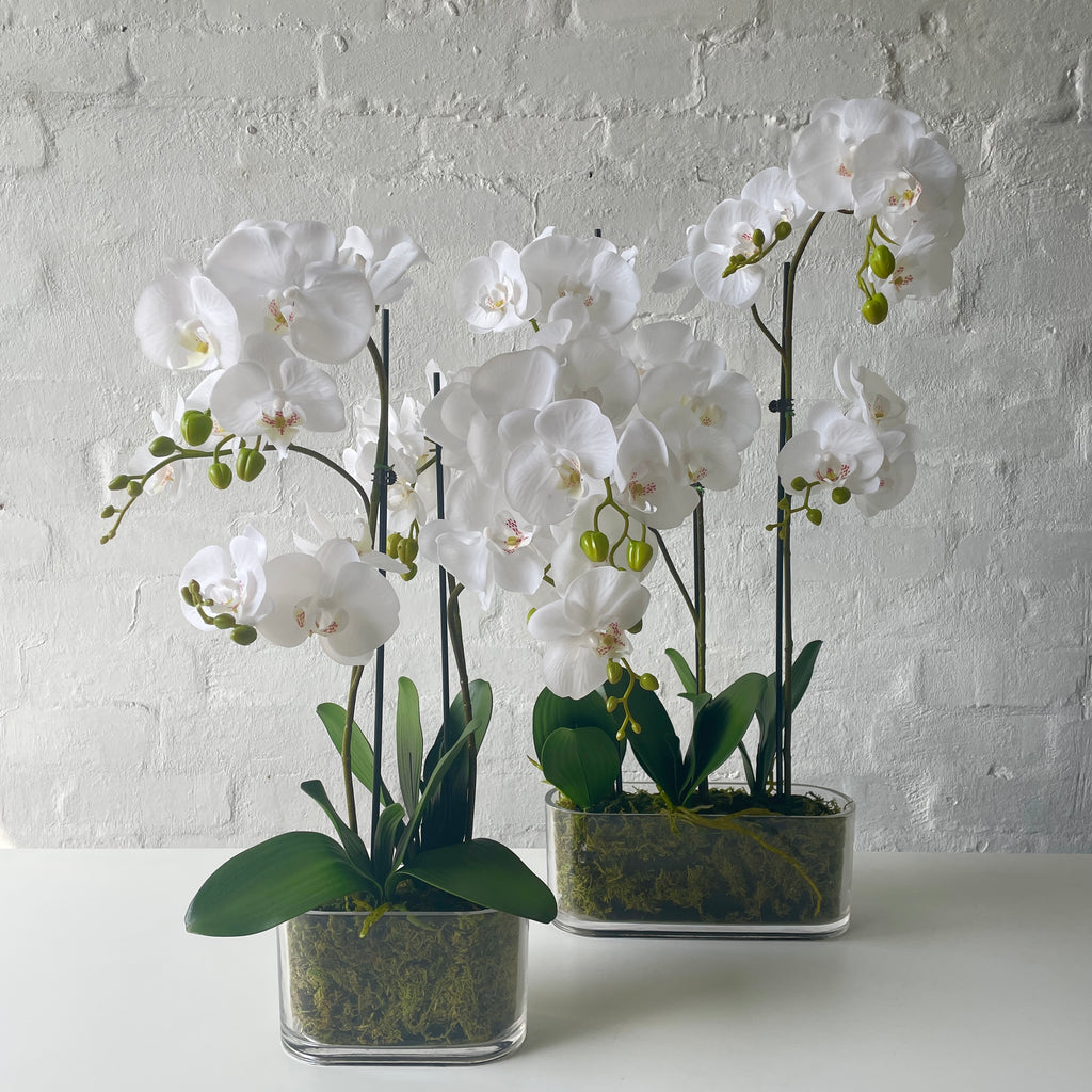 Artificial Large Orchid | White – The Plants Project