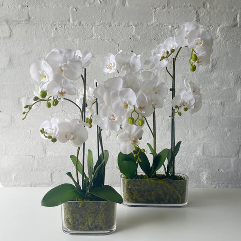 Artificial Large Orchid | White