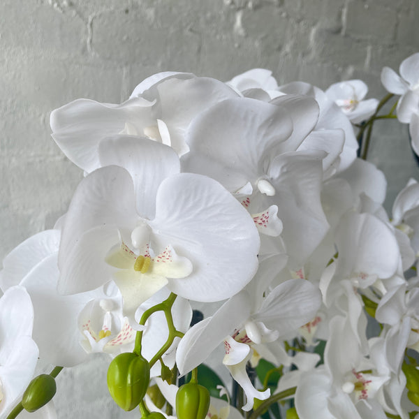 Artificial Large Orchid | White