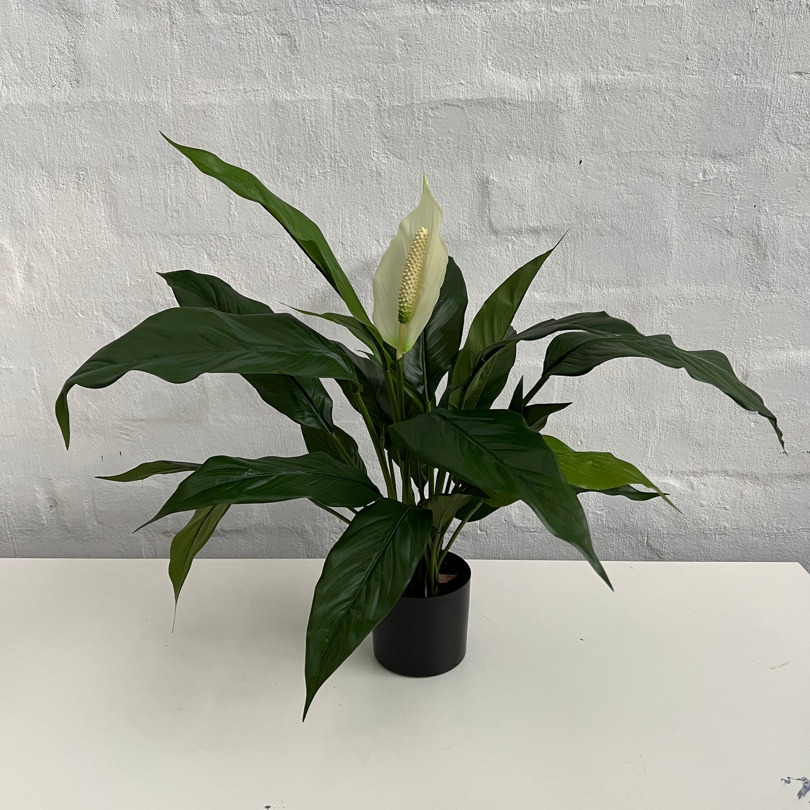 Artificial Peace Lily