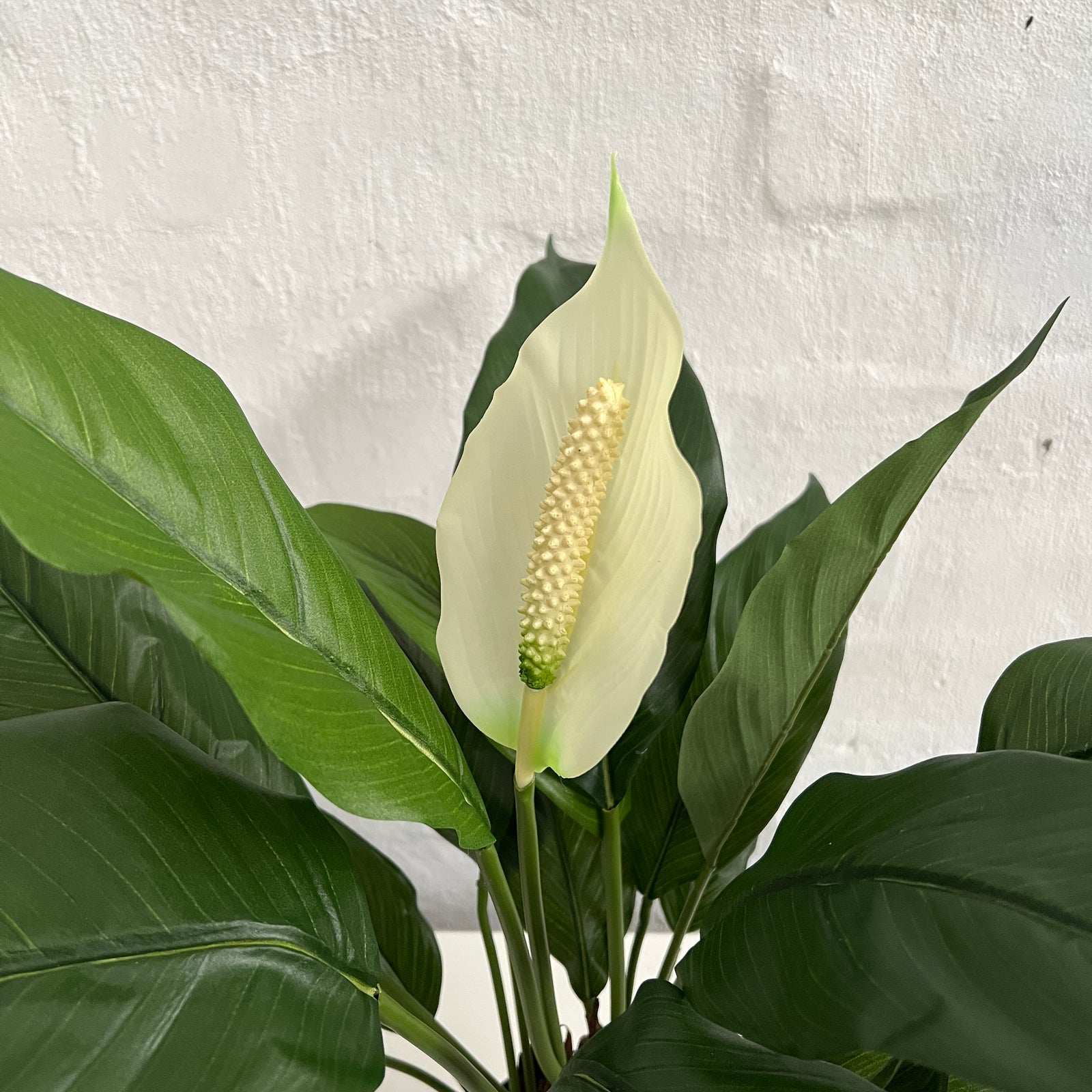 Artificial Peace Lily