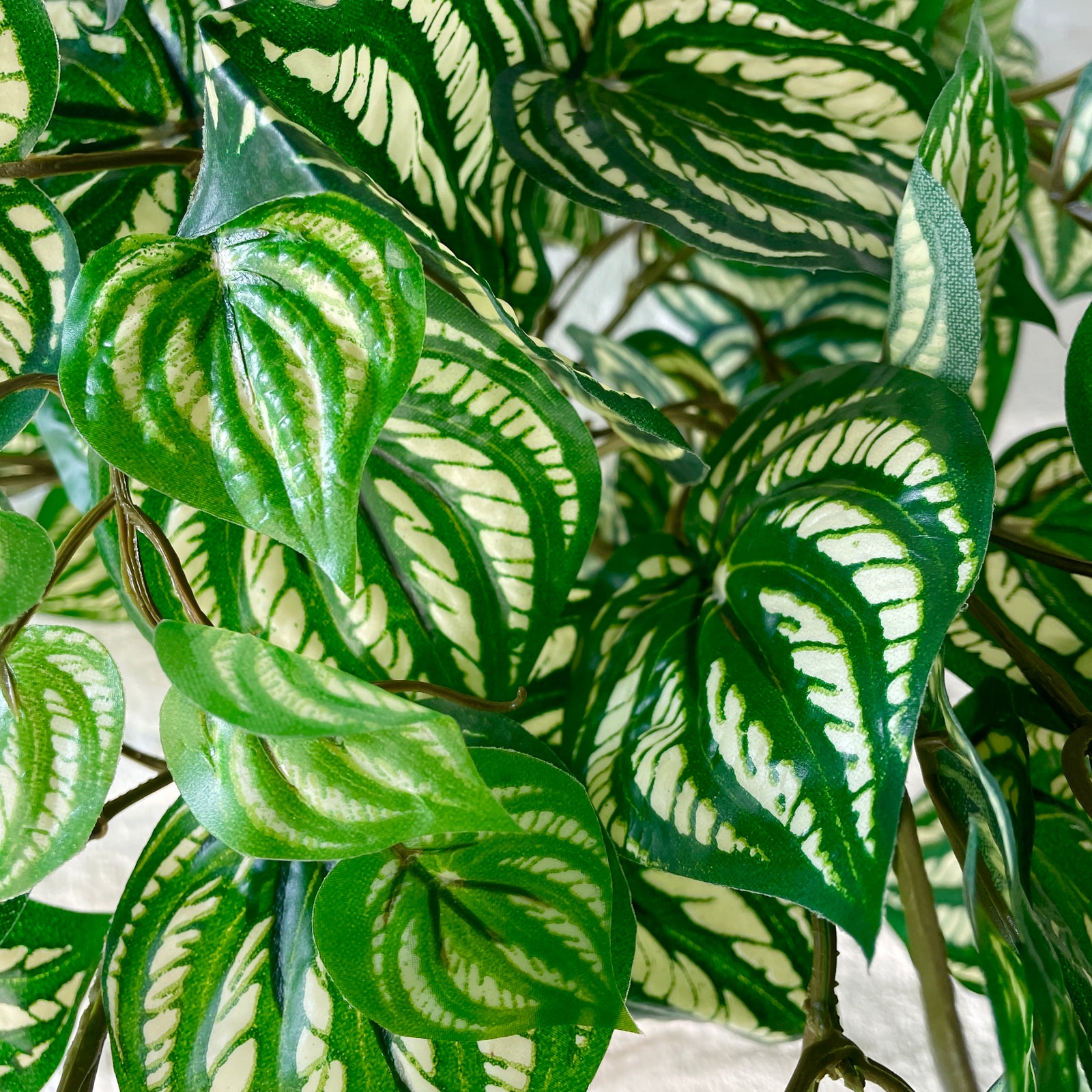 Artificial Hanging Peperomia