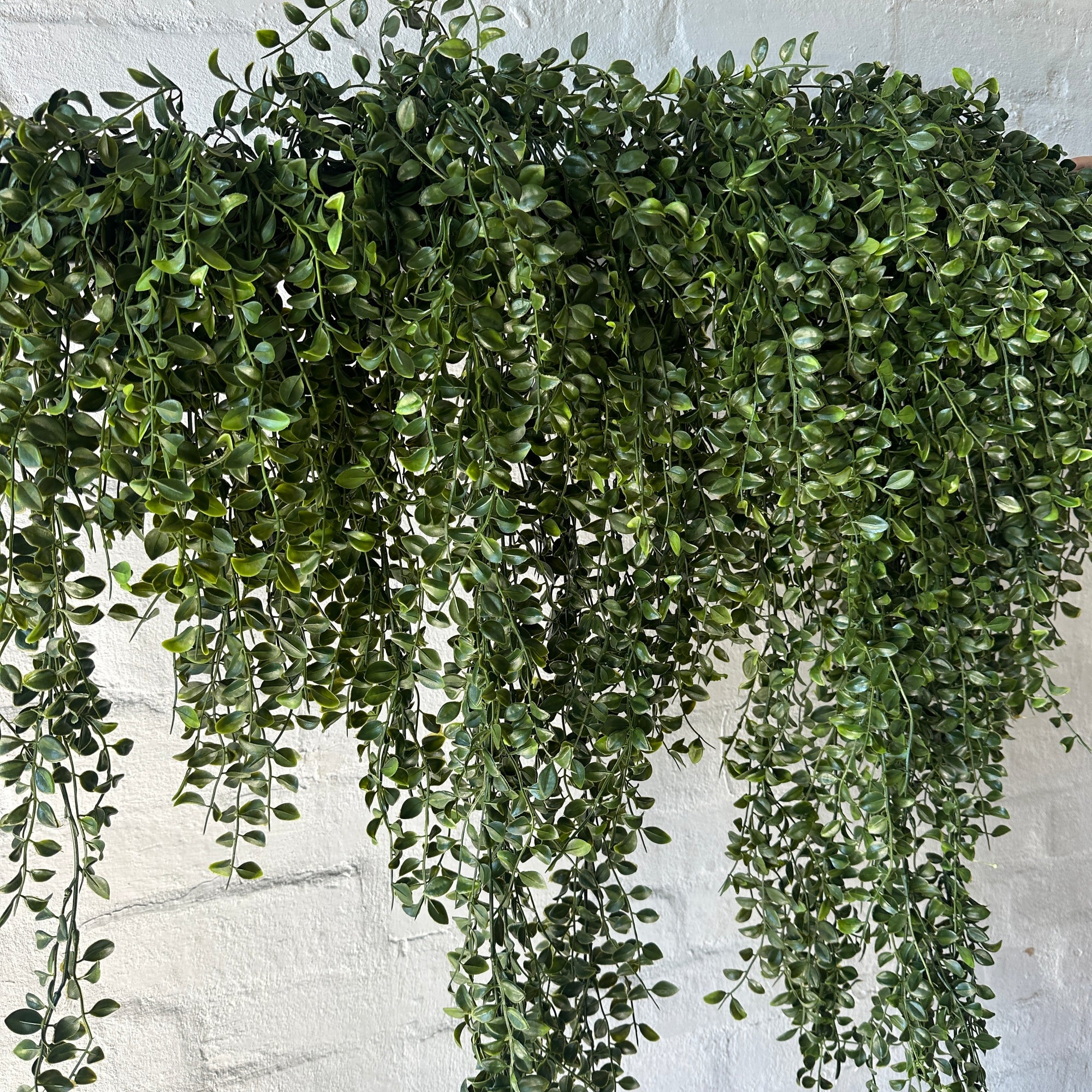 Artificial Ruscus - Balcony Trail