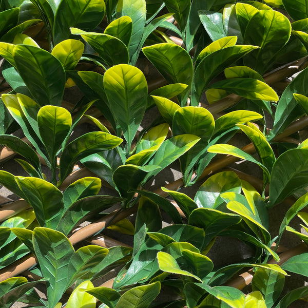 Artificial Laurel Trellis | Outdoor Plant