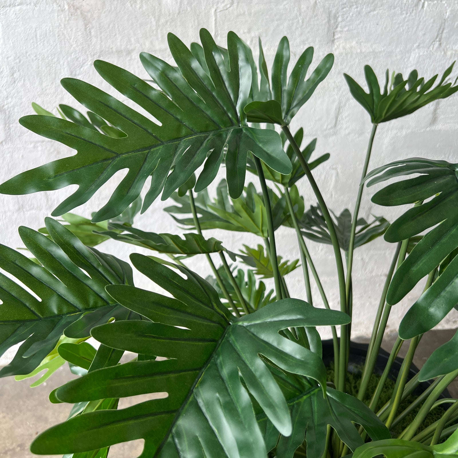 Artificial Xanadu Plant