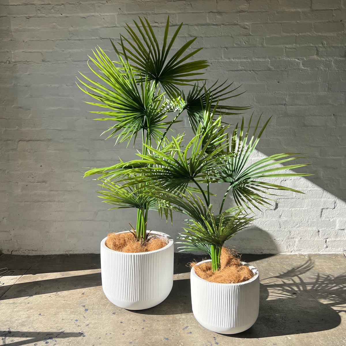 Artificial Angel Palm | Outdoor Plant
