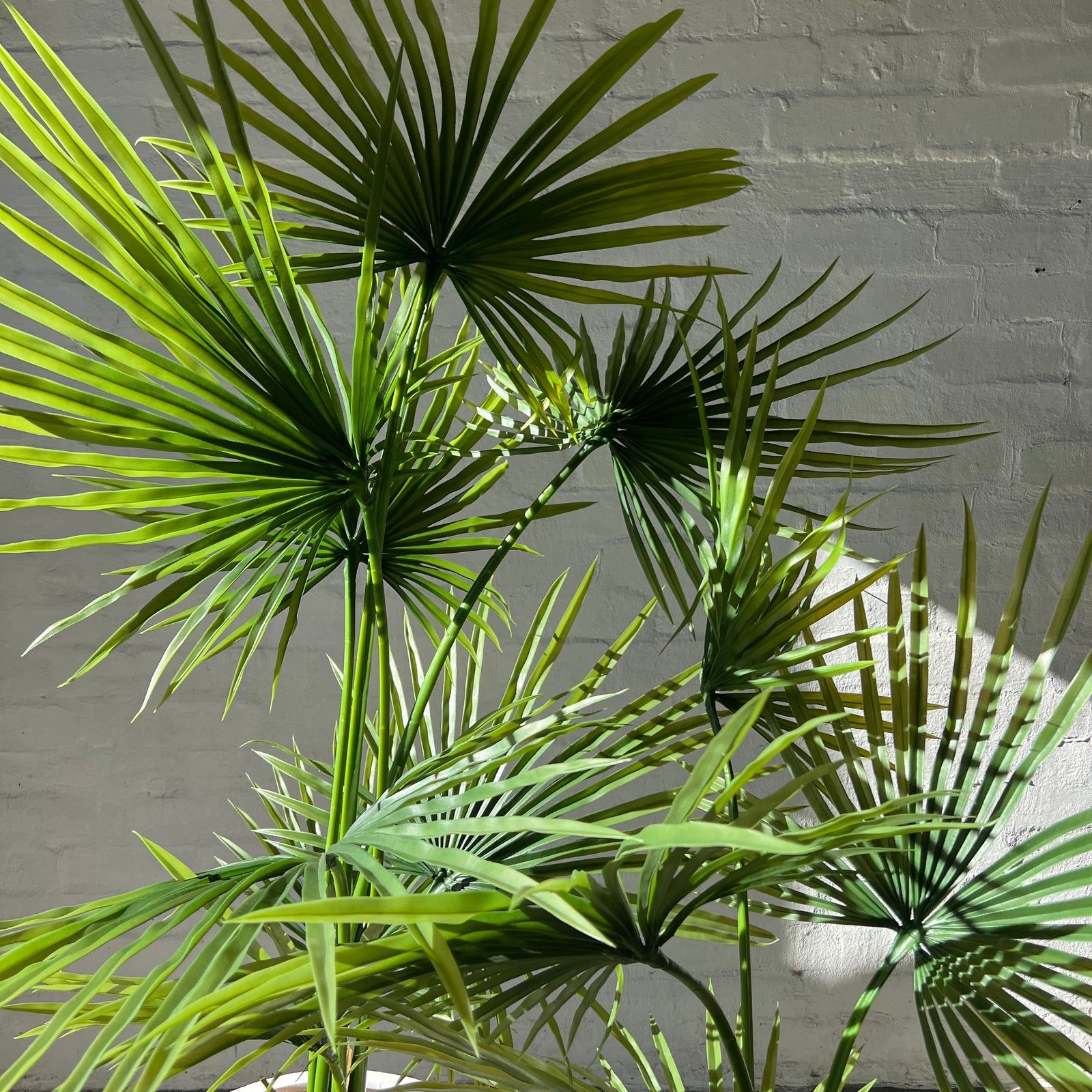 Artificial Angel Palm | Outdoor Plant