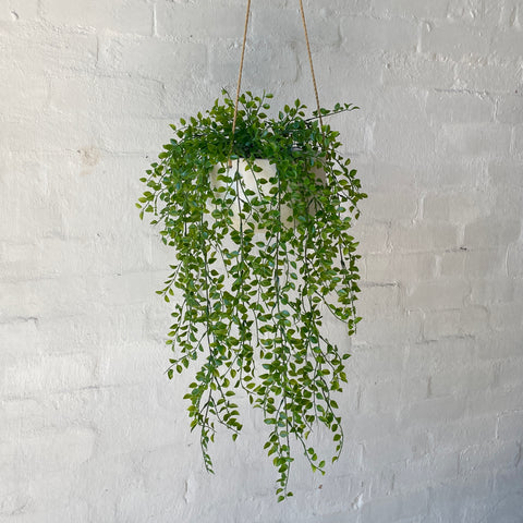 Artificial Hanging Ruscus Plant