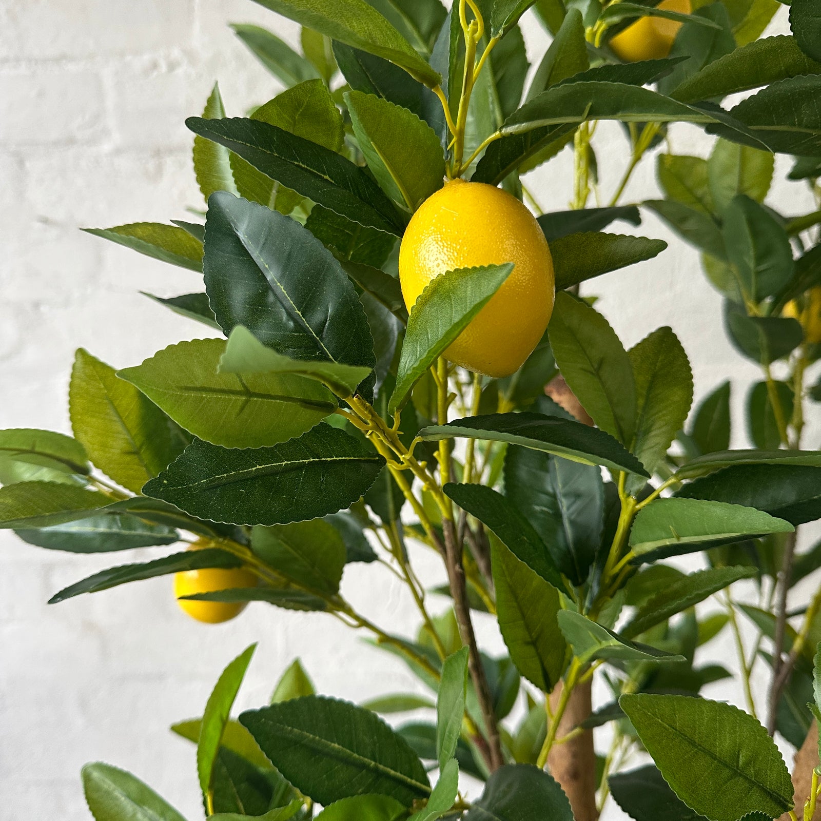 Artificial Lemon Tree