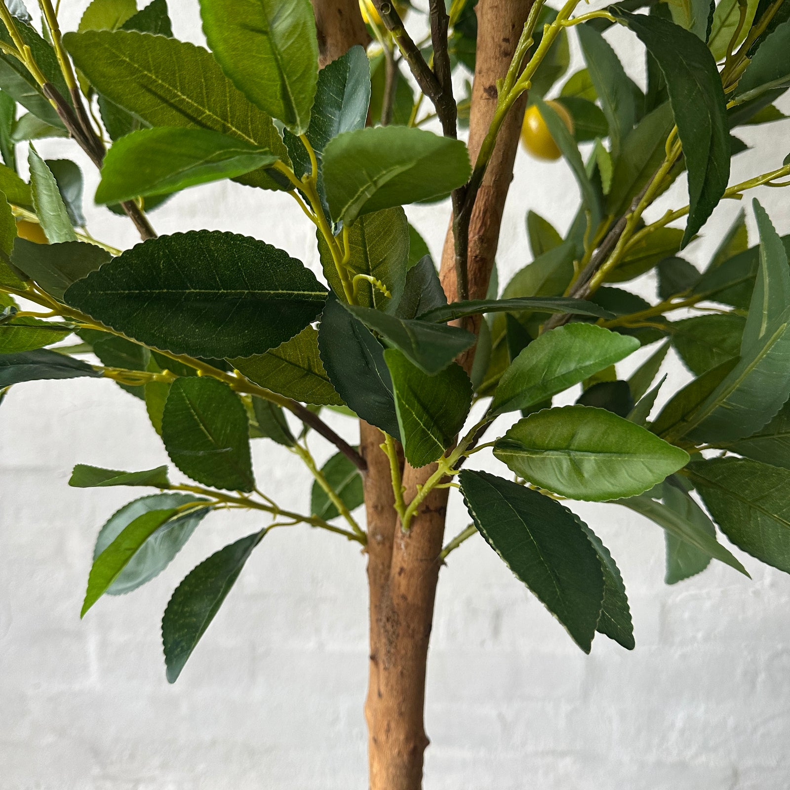 Artificial Lemon Tree