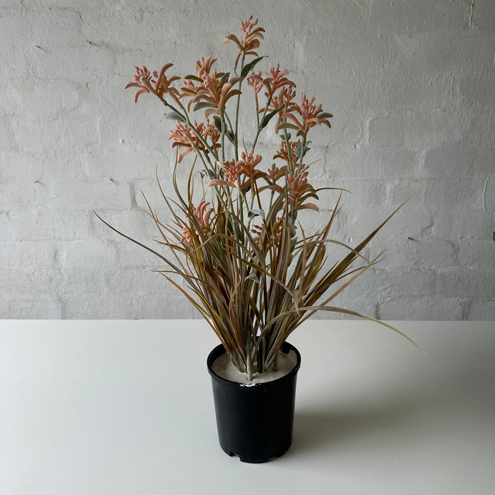 Artificial Kangaroo Paw