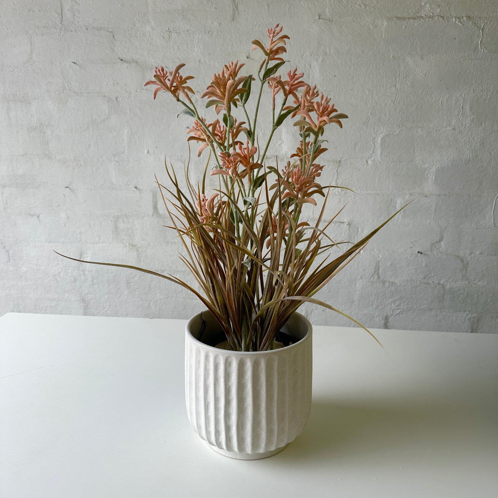 Artificial Kangaroo Paw