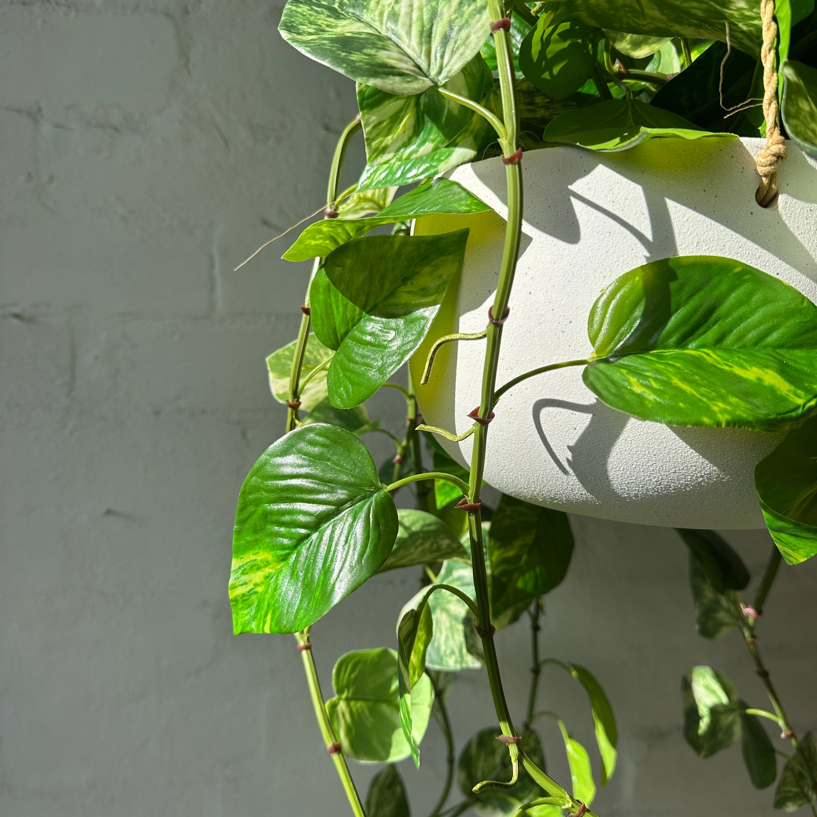 Artificial Hanging Golden Pothos Plant | Outdoor