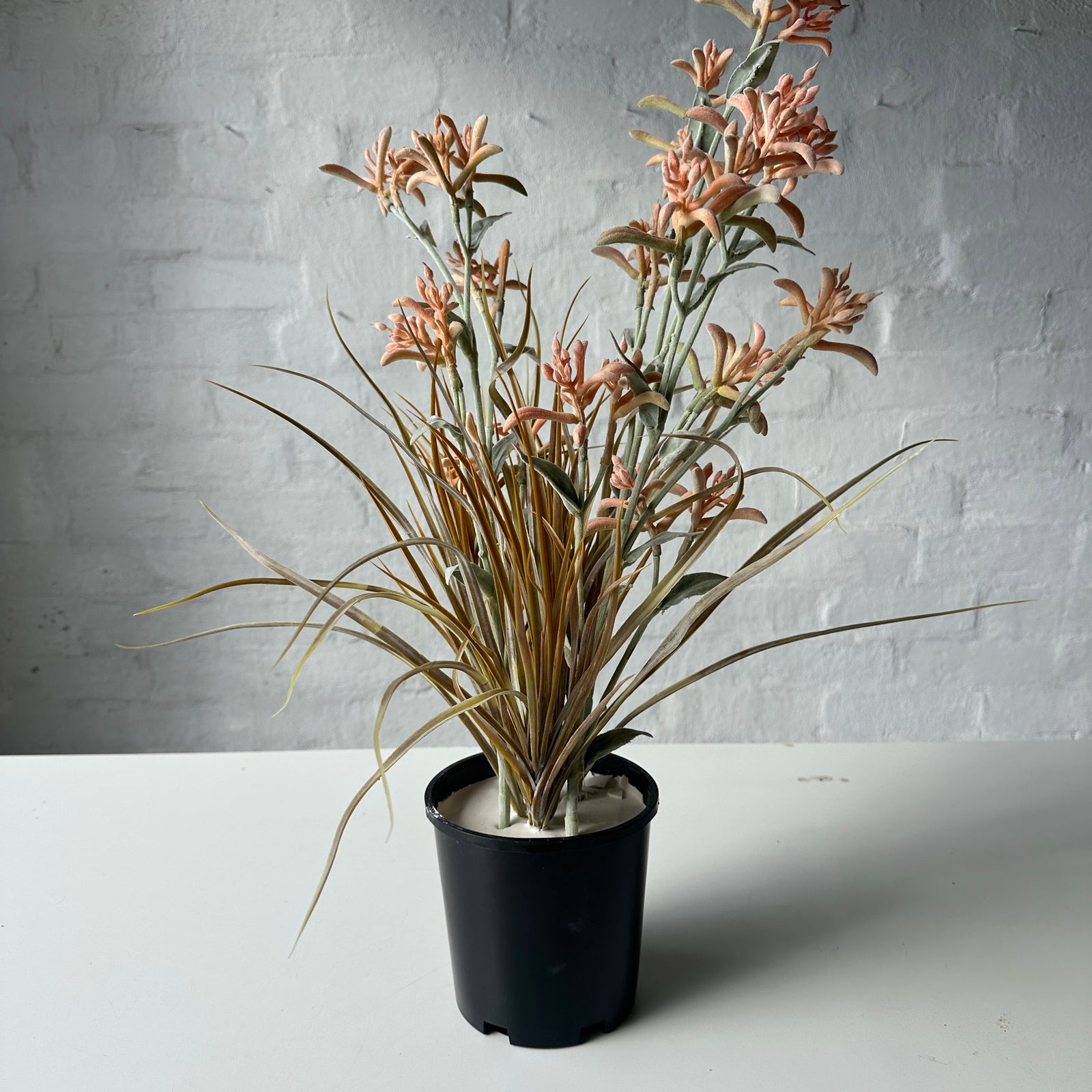 Artificial Kangaroo Paw