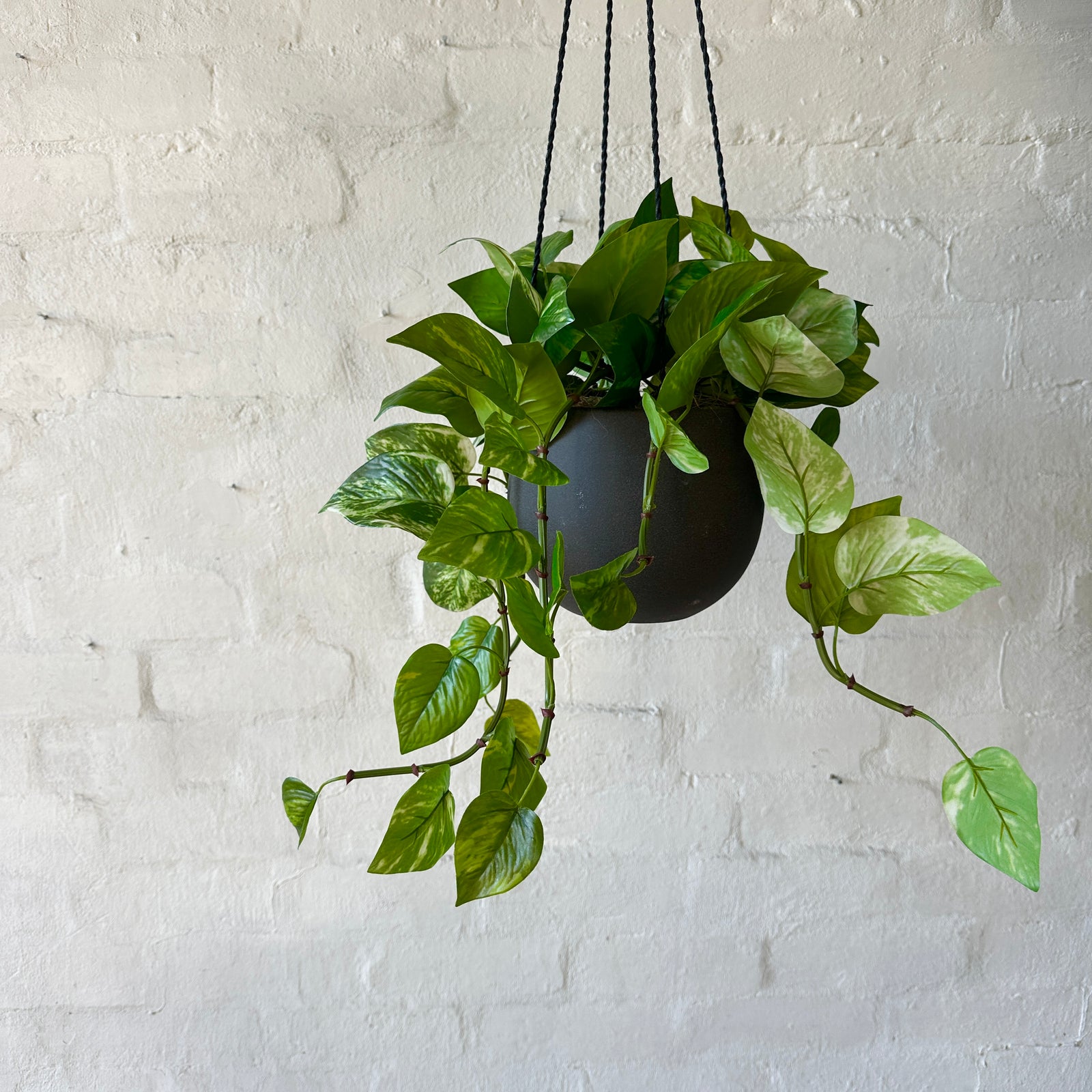 hanging pothos outside Artificial Hanging Golden Pothos Plant