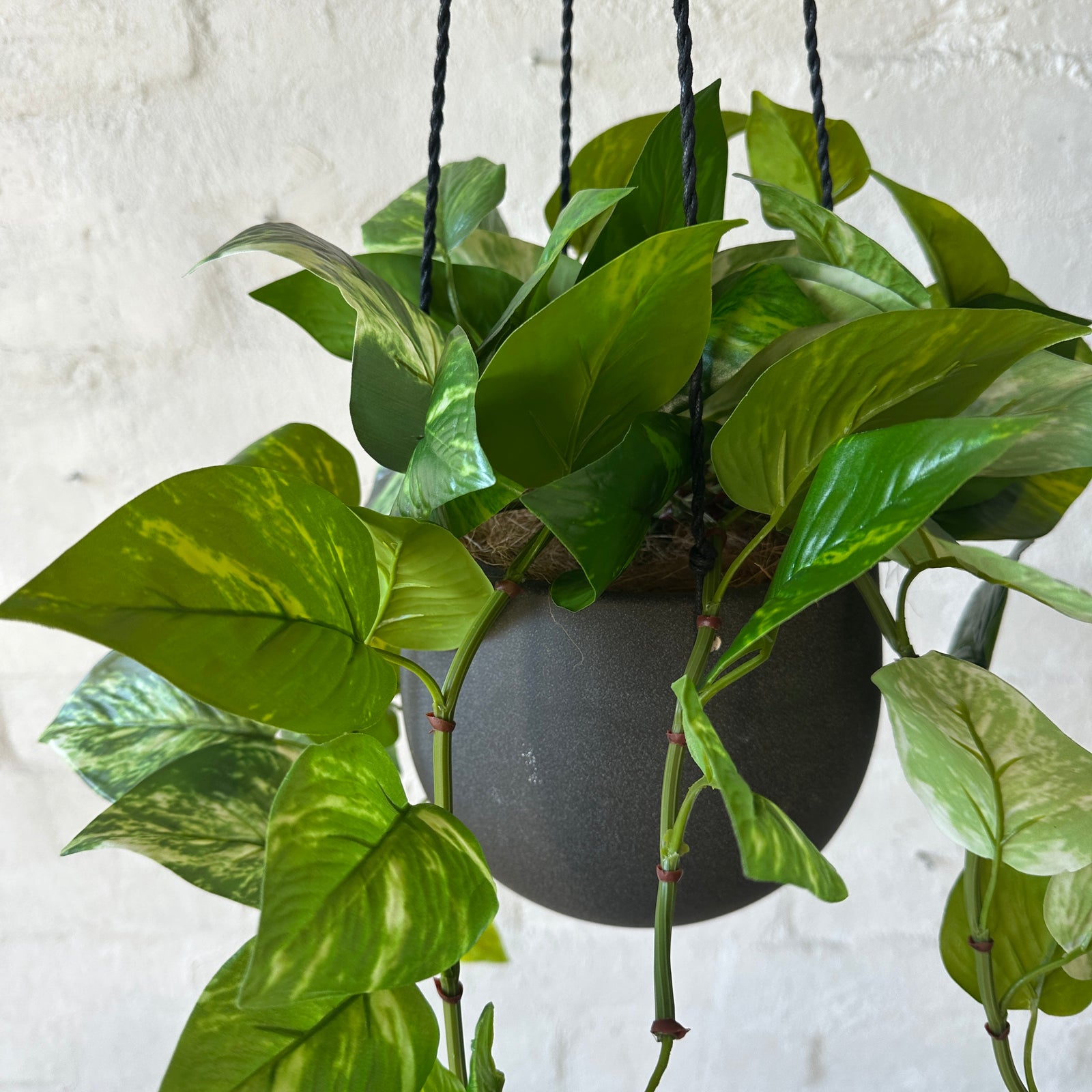 hanging pothos outside Artificial Hanging Golden Pothos Plant